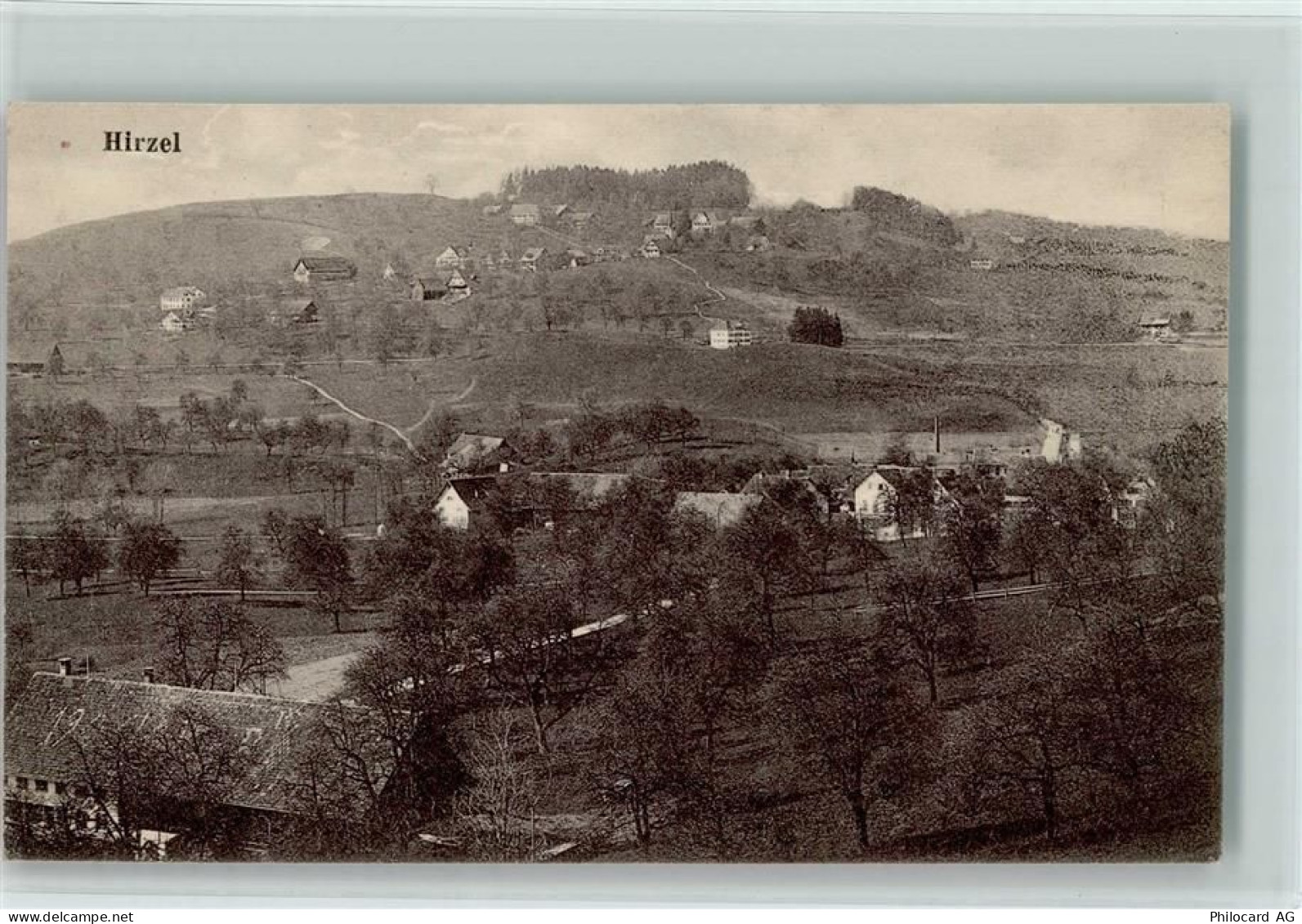 8816 Hirzel - 13218106