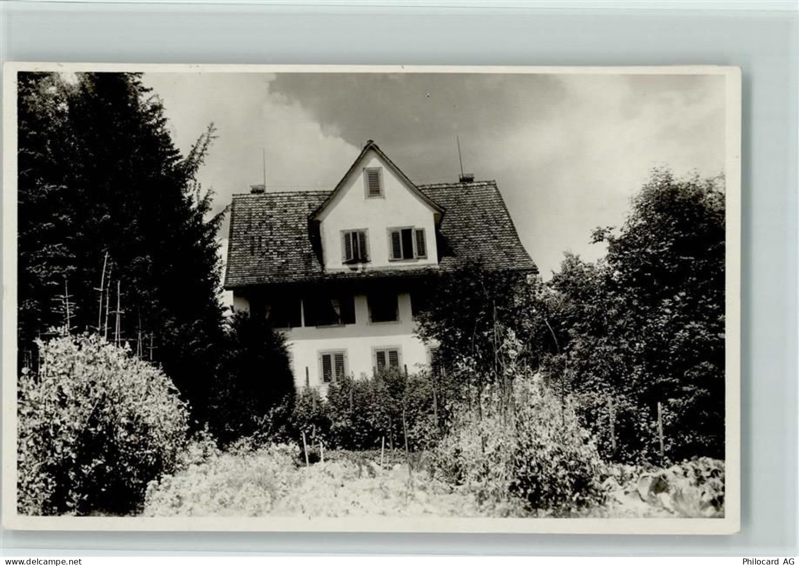 8816 Hirzel Foto AK Ort handschriftlich - 13218210