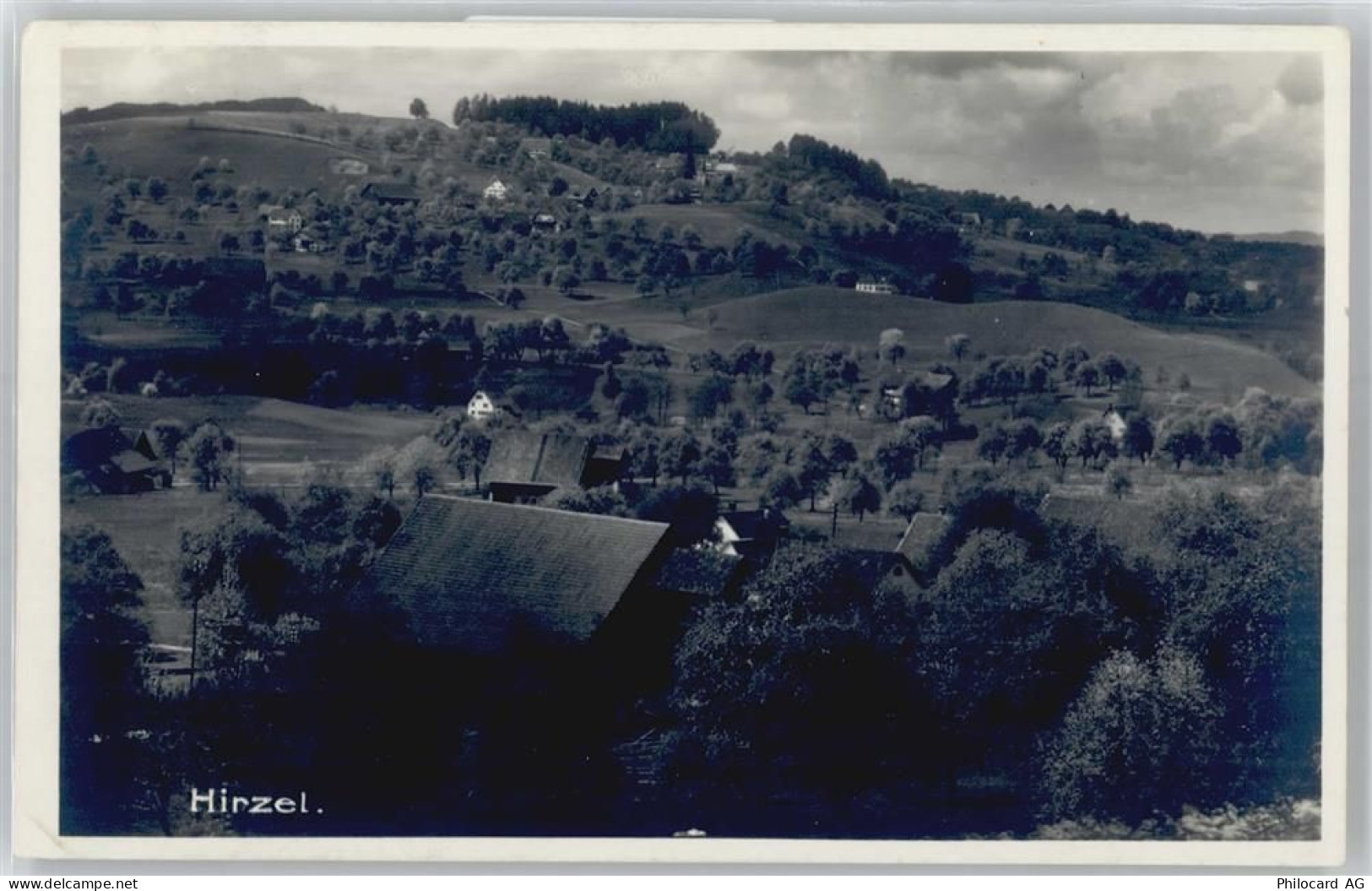 8816 Hirzel Spitzen - 50894772