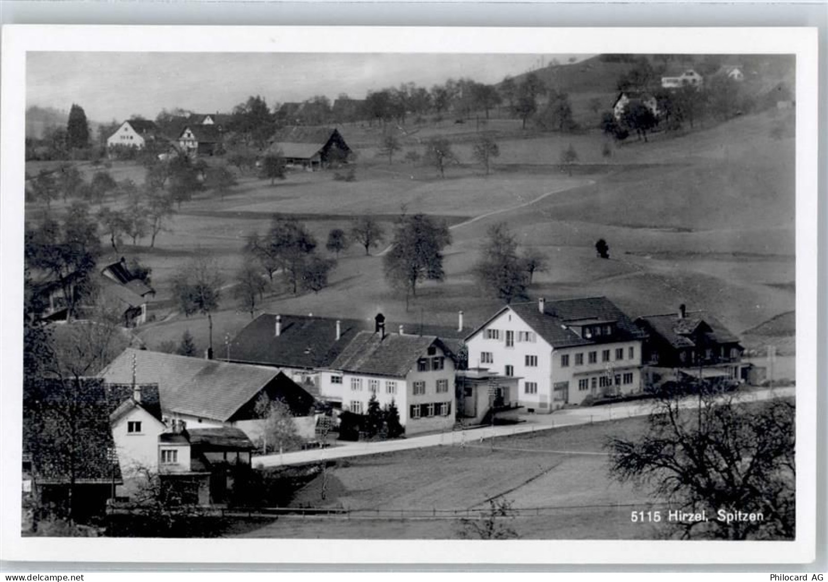 8816 Hirzel - Spitzen - 51481701
