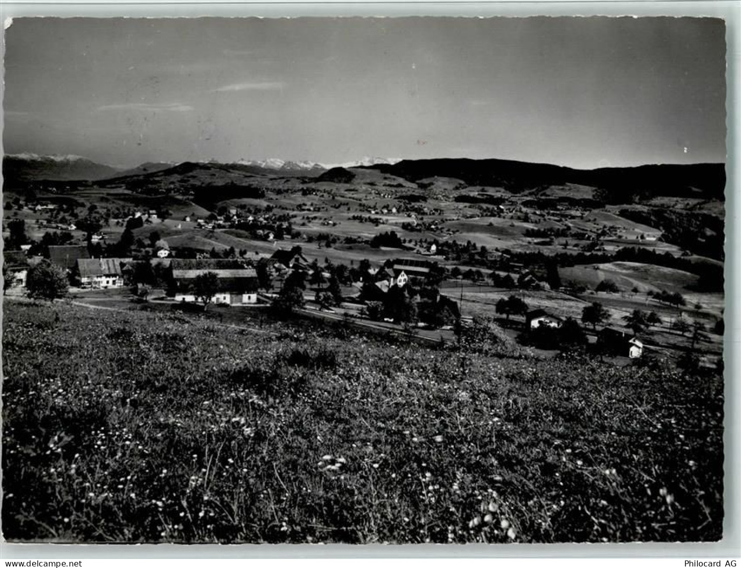 8816 Hirzel Spitzen - Dorfansicht - 10159137