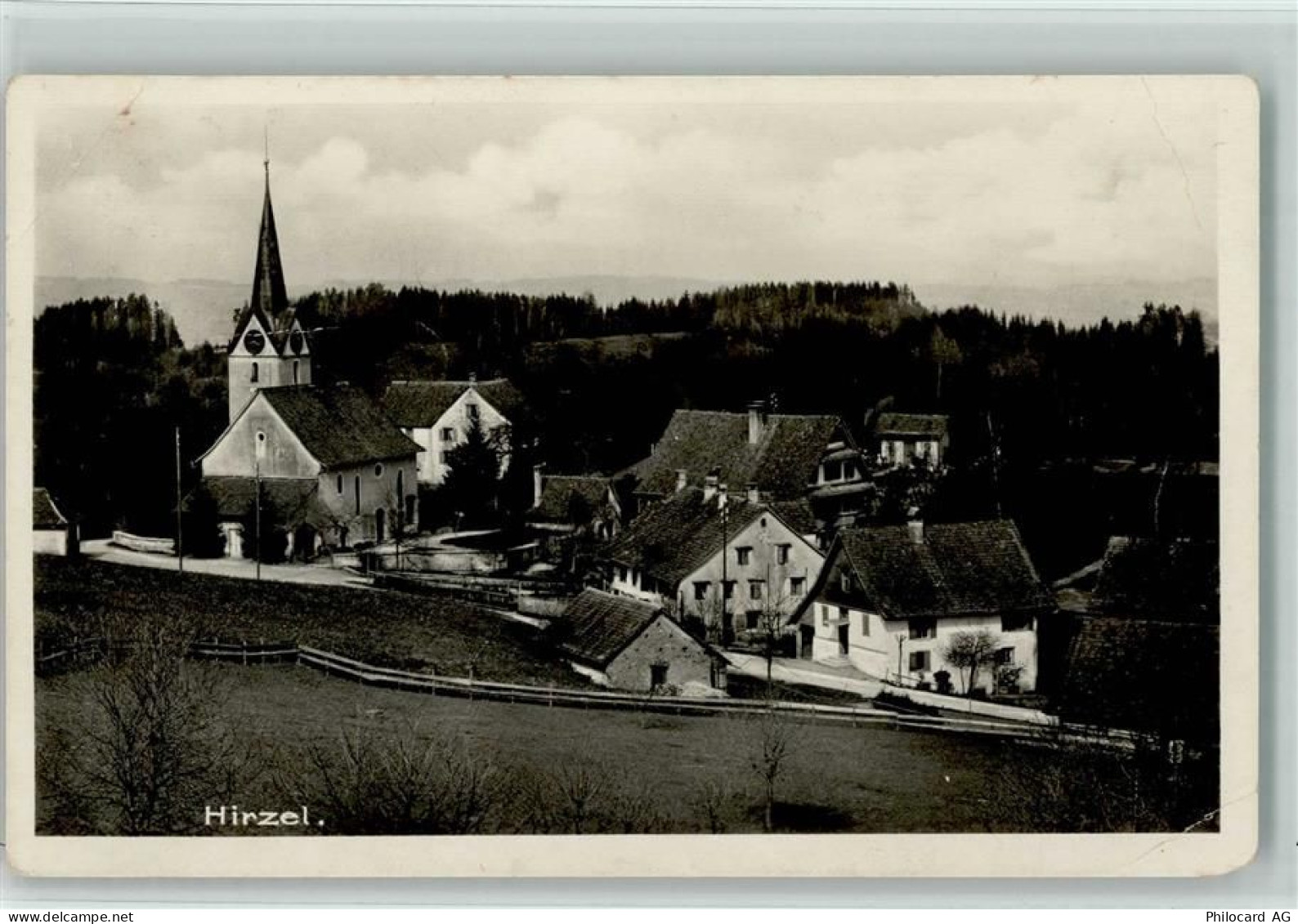 8816 Hirzel Spitzen Gebrauchsspuren - 13119530