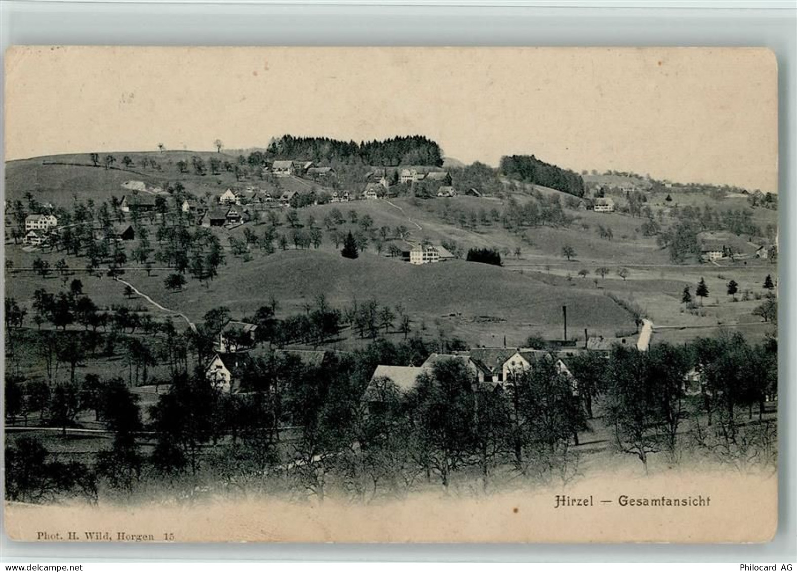 8816 Hirzel Spitzen Gebrauchsspuren 1914 - 13119532