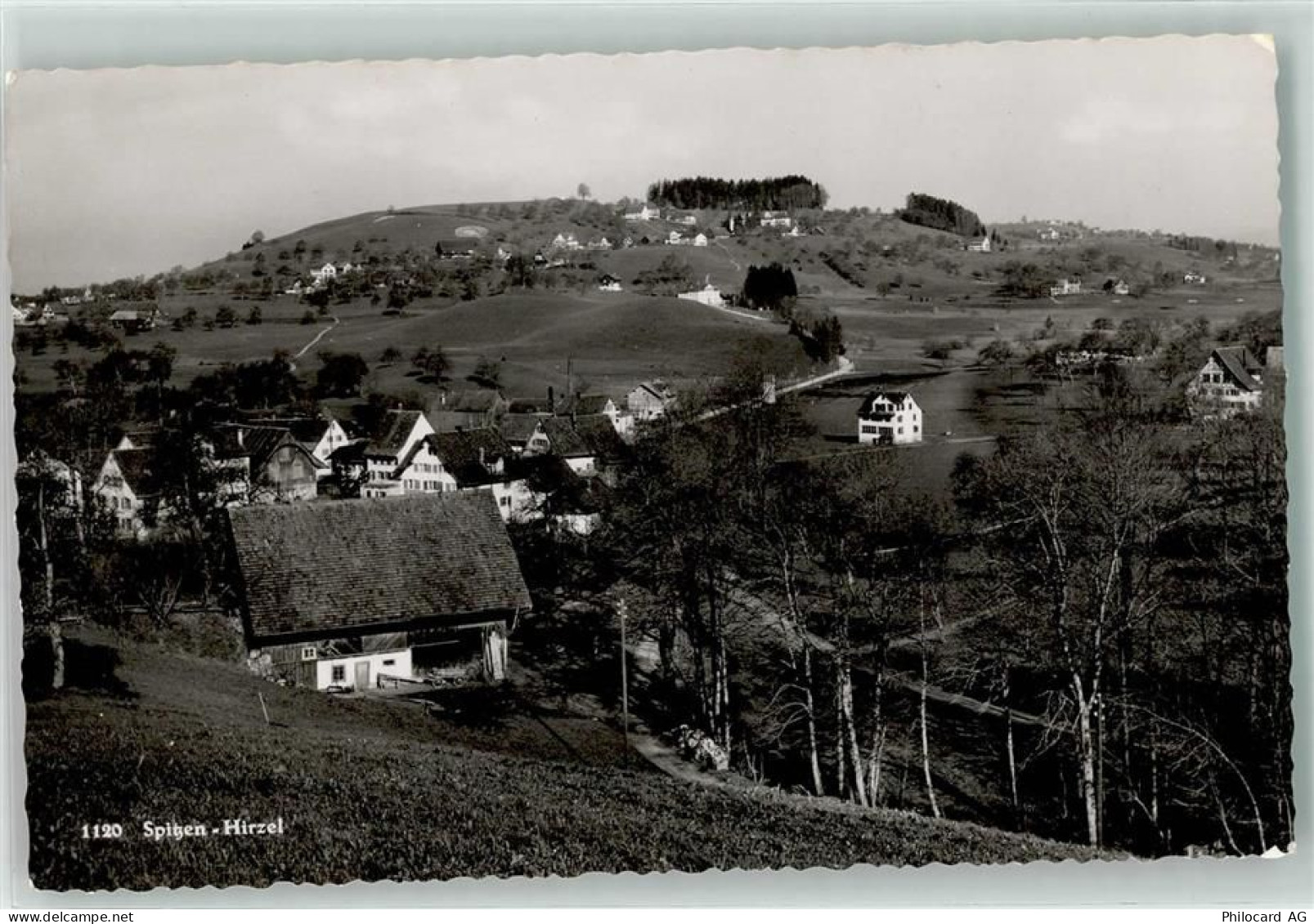8816 Spitzen Foto AK Hirzel - 13937951