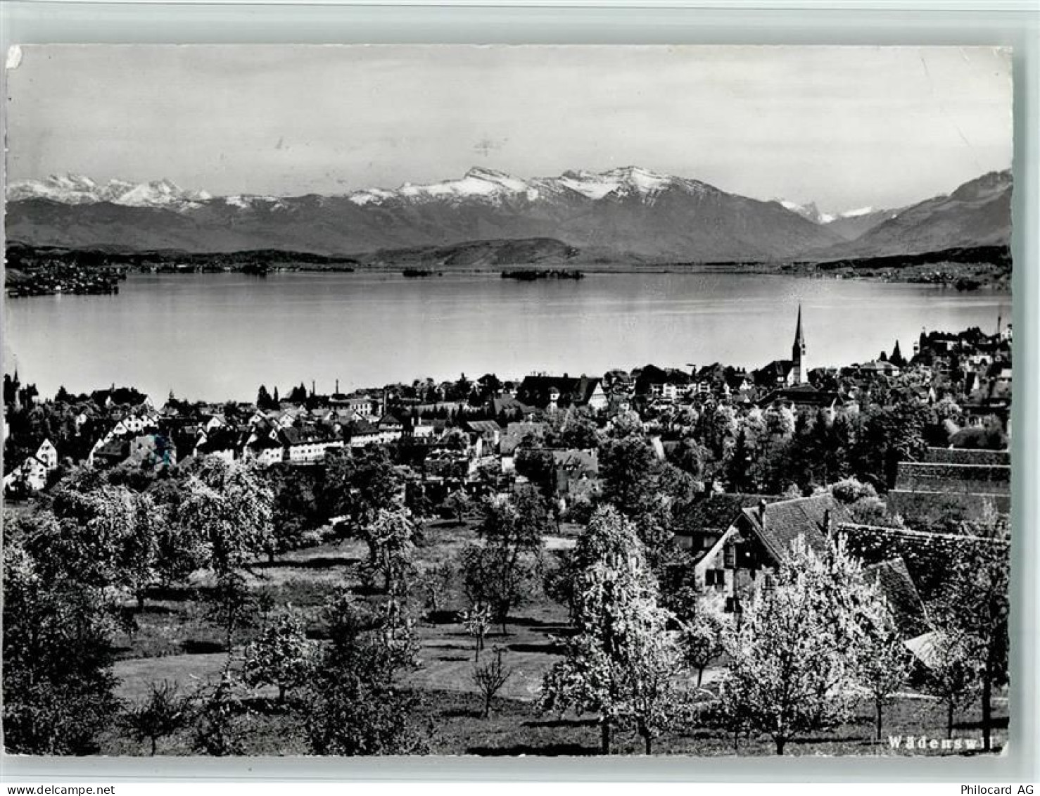 8820 Wädenswil - 11051444