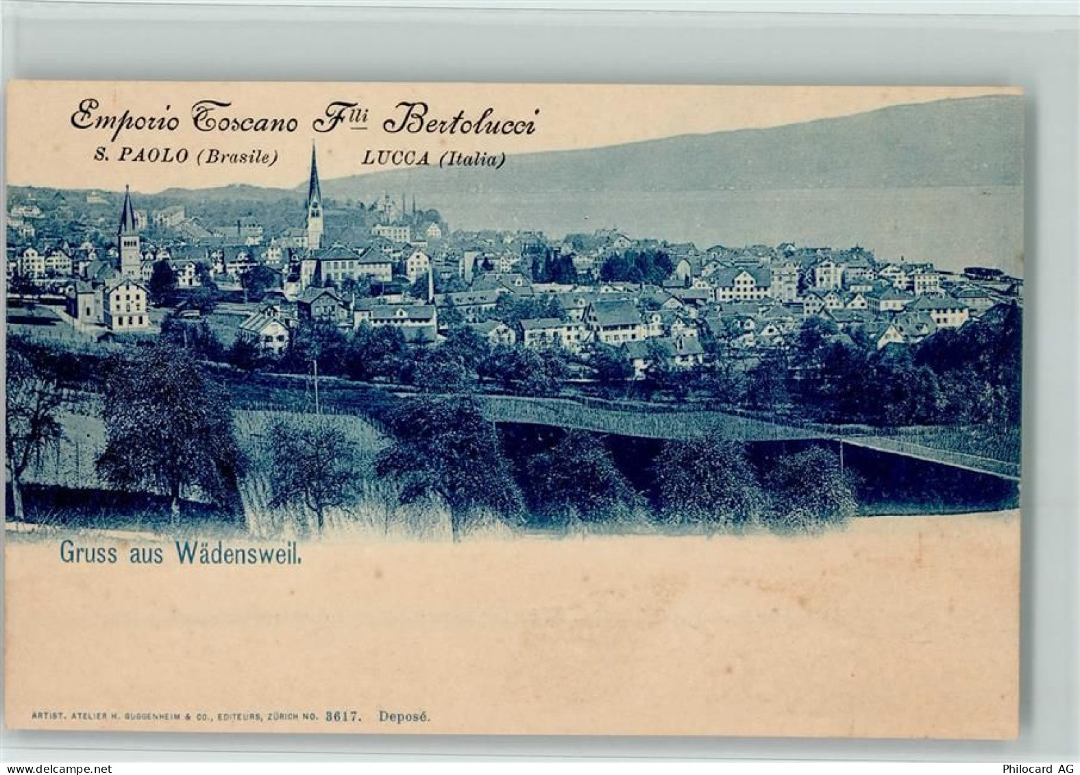 8820 Wädenswil - 13100109