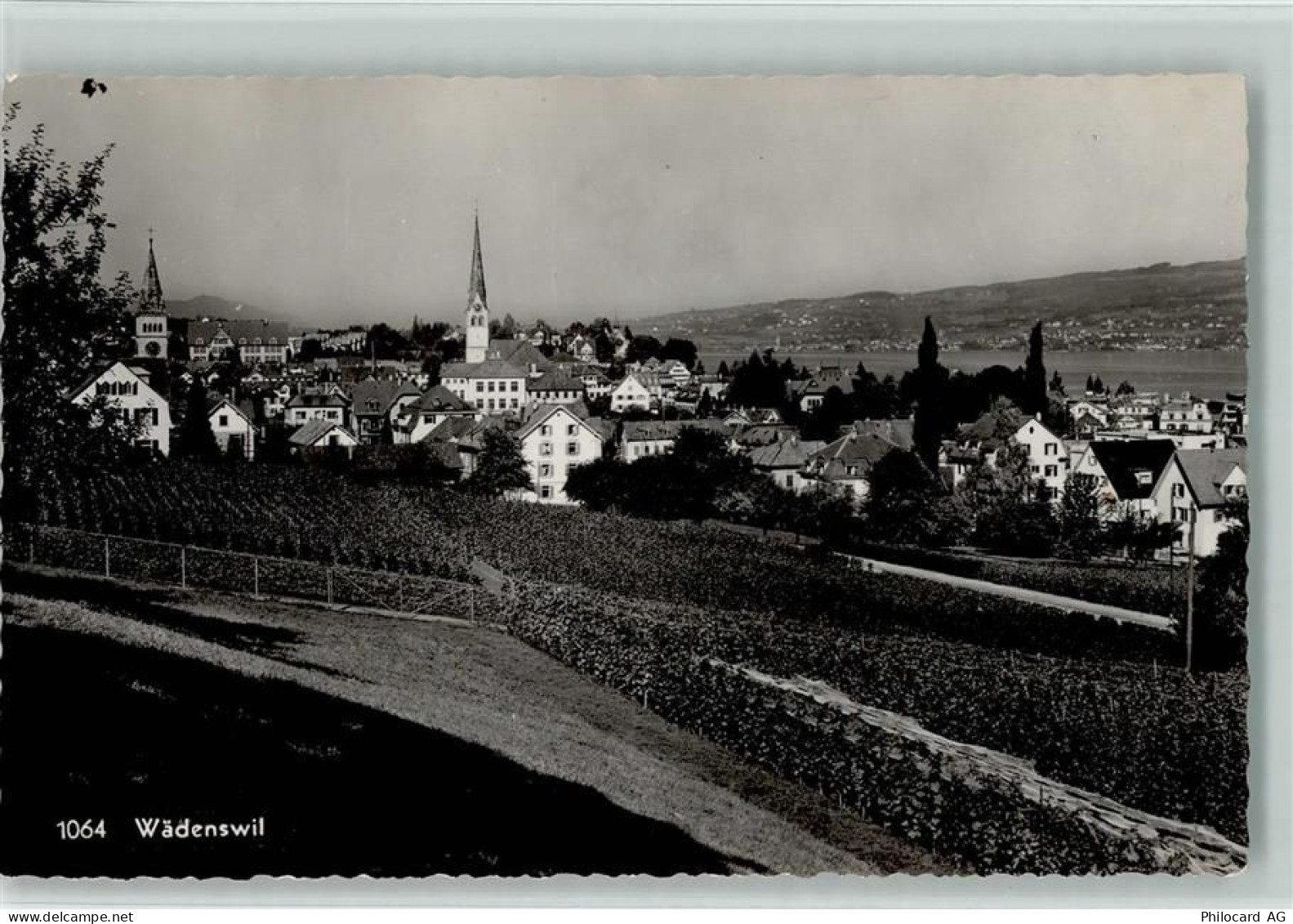 8820 Wädenswil - 13112201