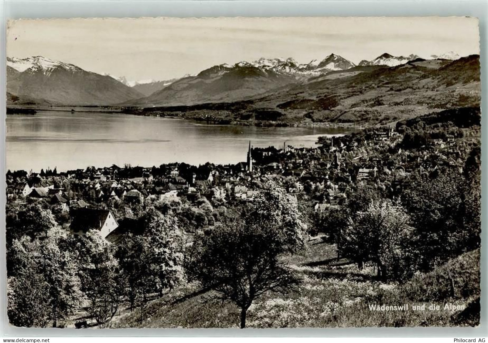 8820 Wädenswil - 39377883