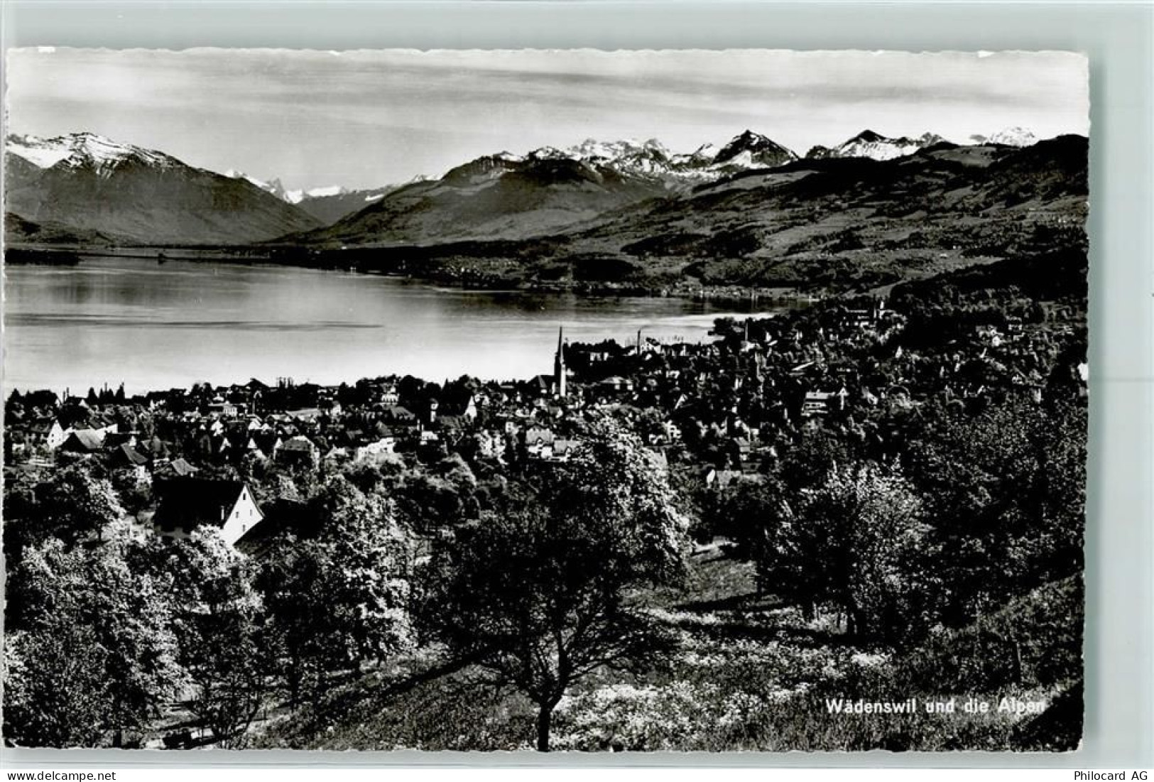 8820 Wädenswil - Alpen - 10282414