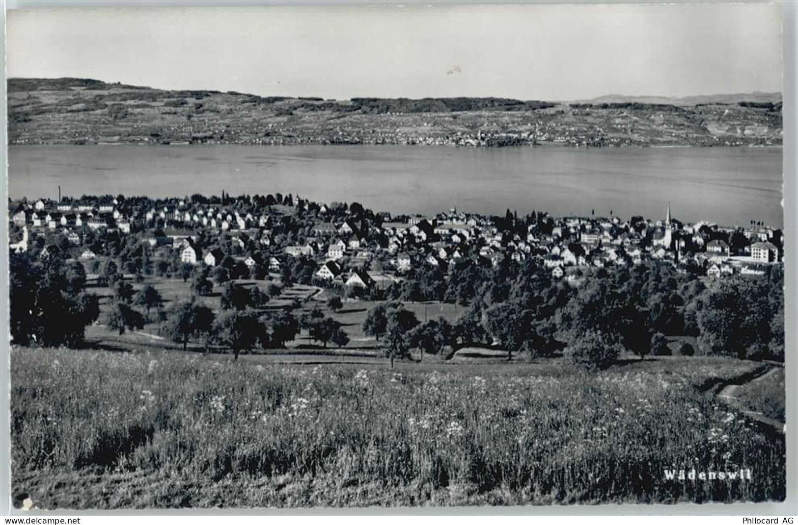 8820 Wädenswil Herrlisberg b. Wädenswil - 50499233