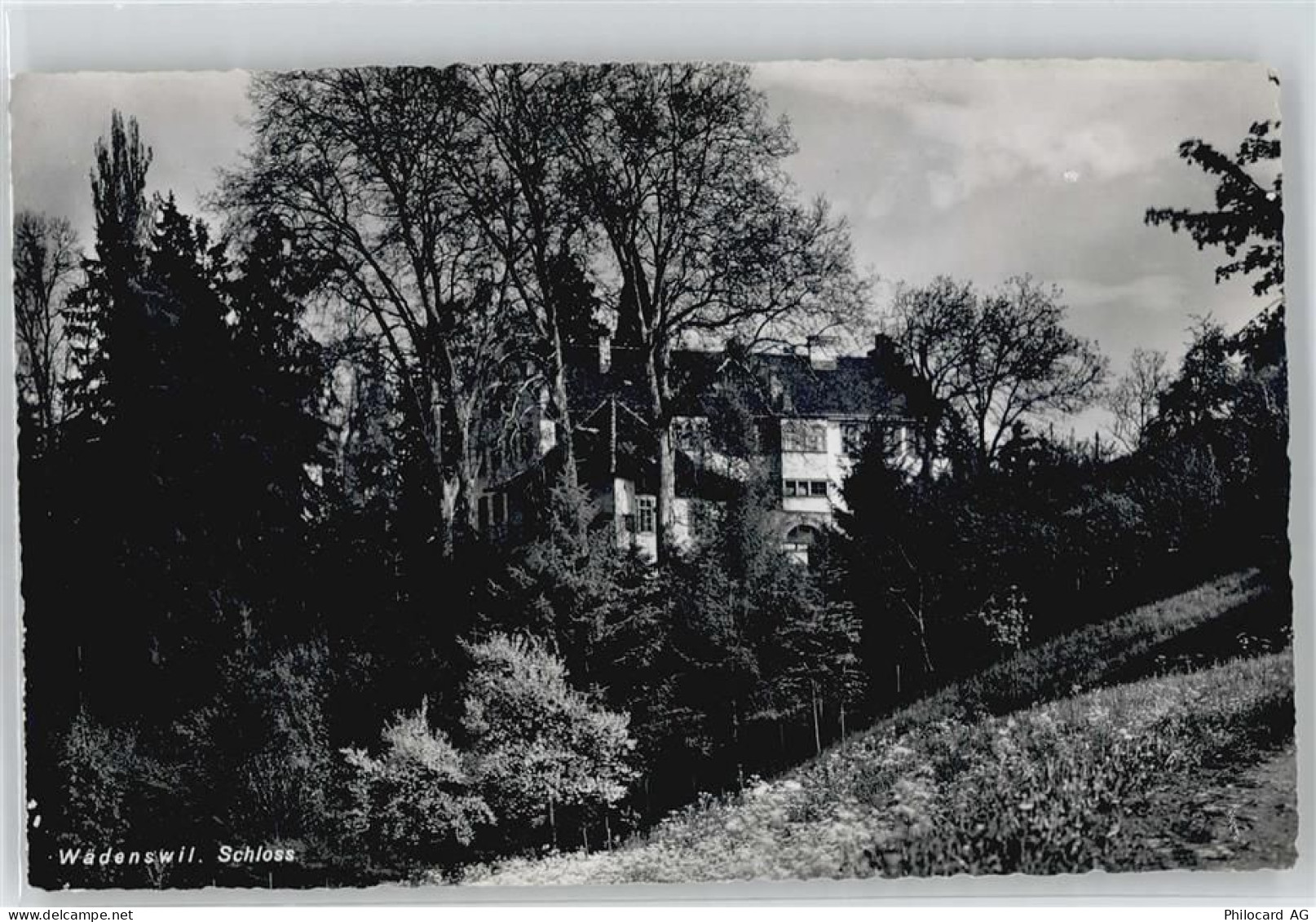 8820 Wädenswil Herrlisberg b. Wädenswil - 50499234