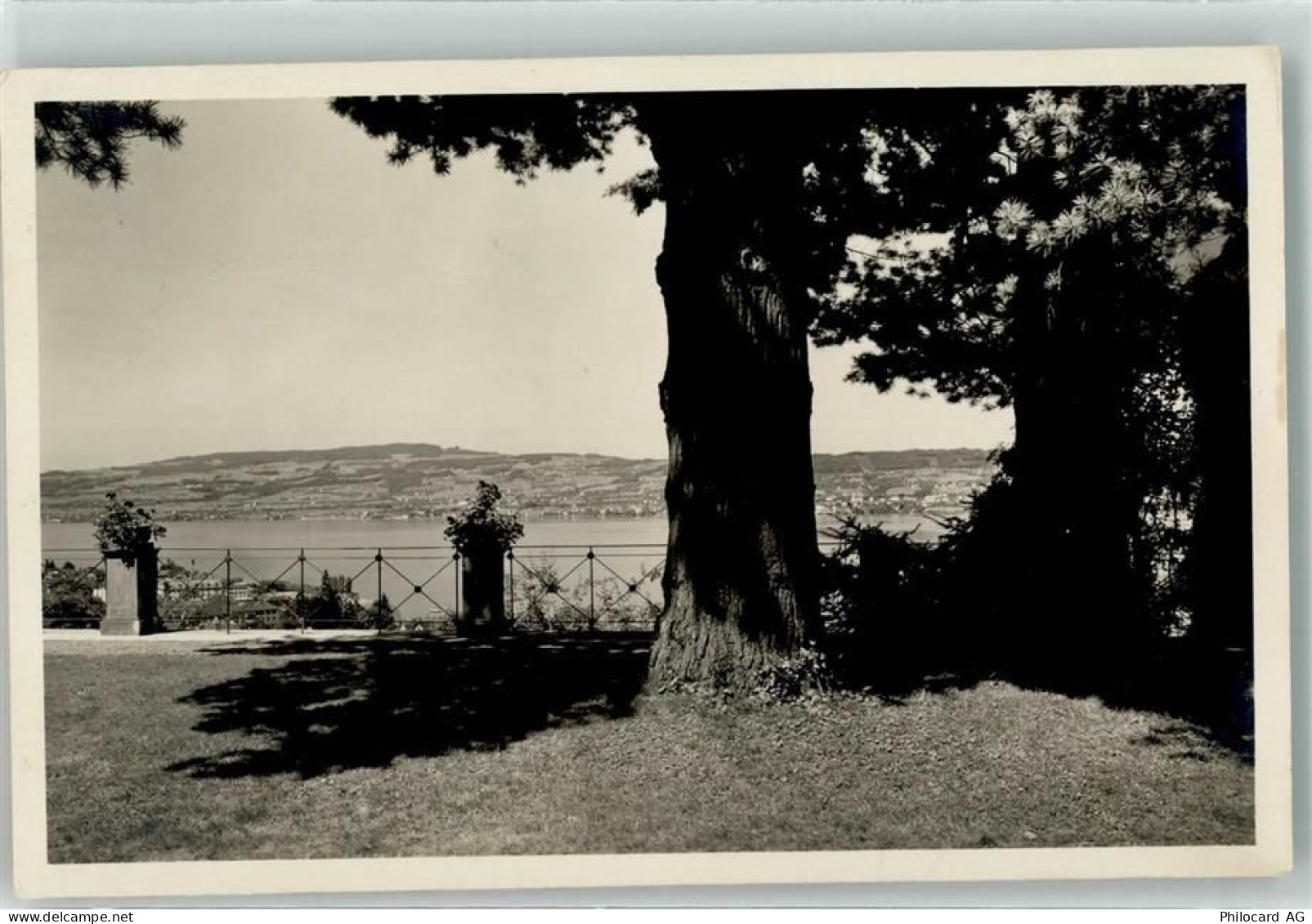 8820 Wädenswil - Schloss - 39489330