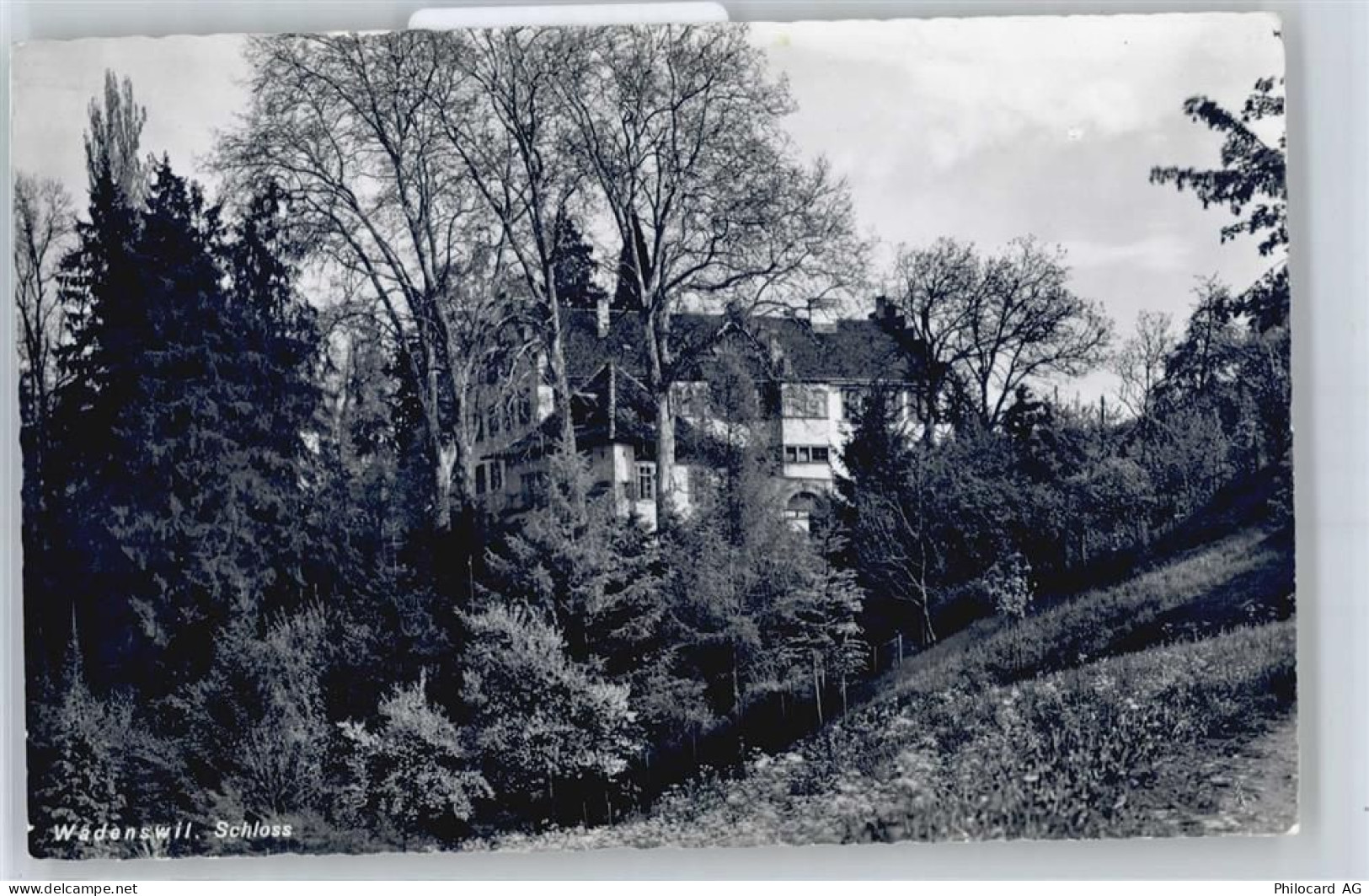 8820 Wädenswil - Schloß - 50757513