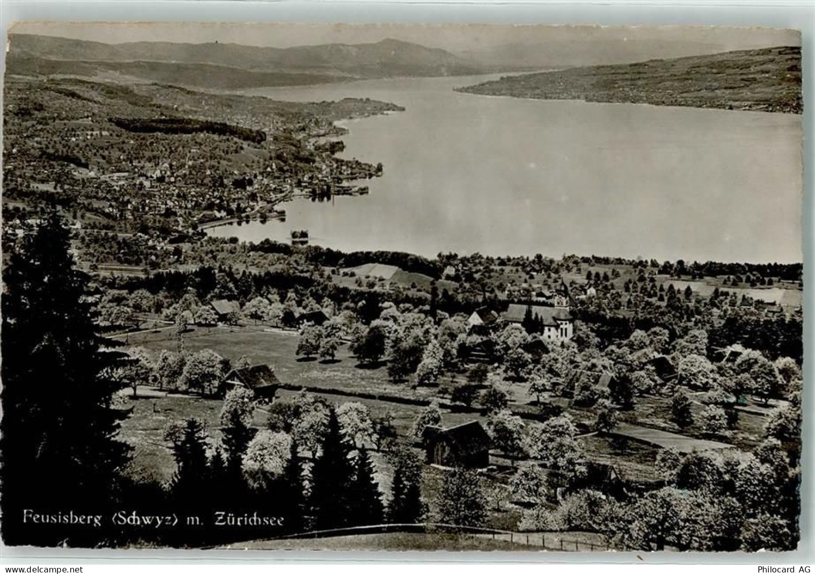 8835 Feusisberg - 10620371