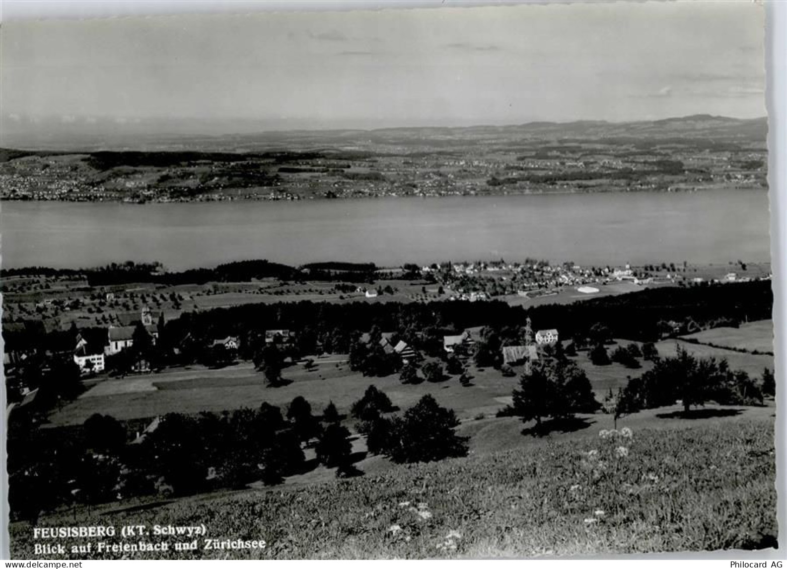 8835 Feusisberg - Gesamtansicht, Zürichsee - 50746322