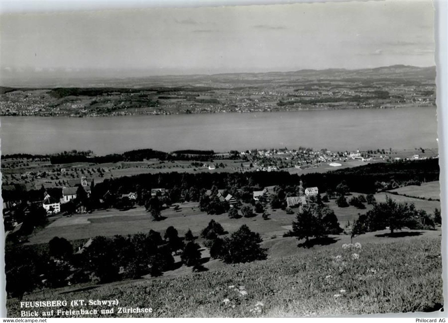 8835 Feusisberg - Gesamtansicht, Zürichsee - 50746692