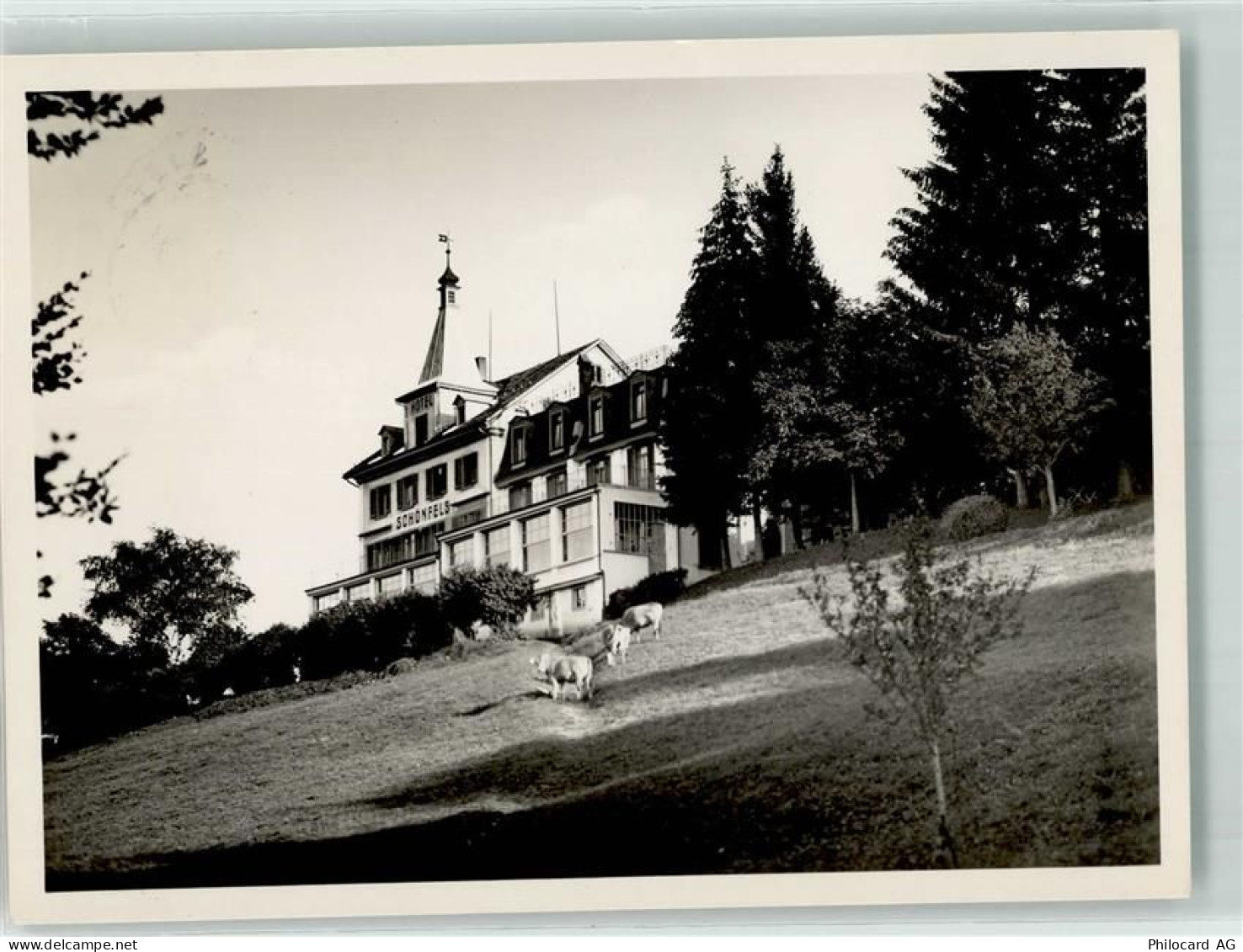 8835 Feusisberg - Hotel Schönfels - 39702613