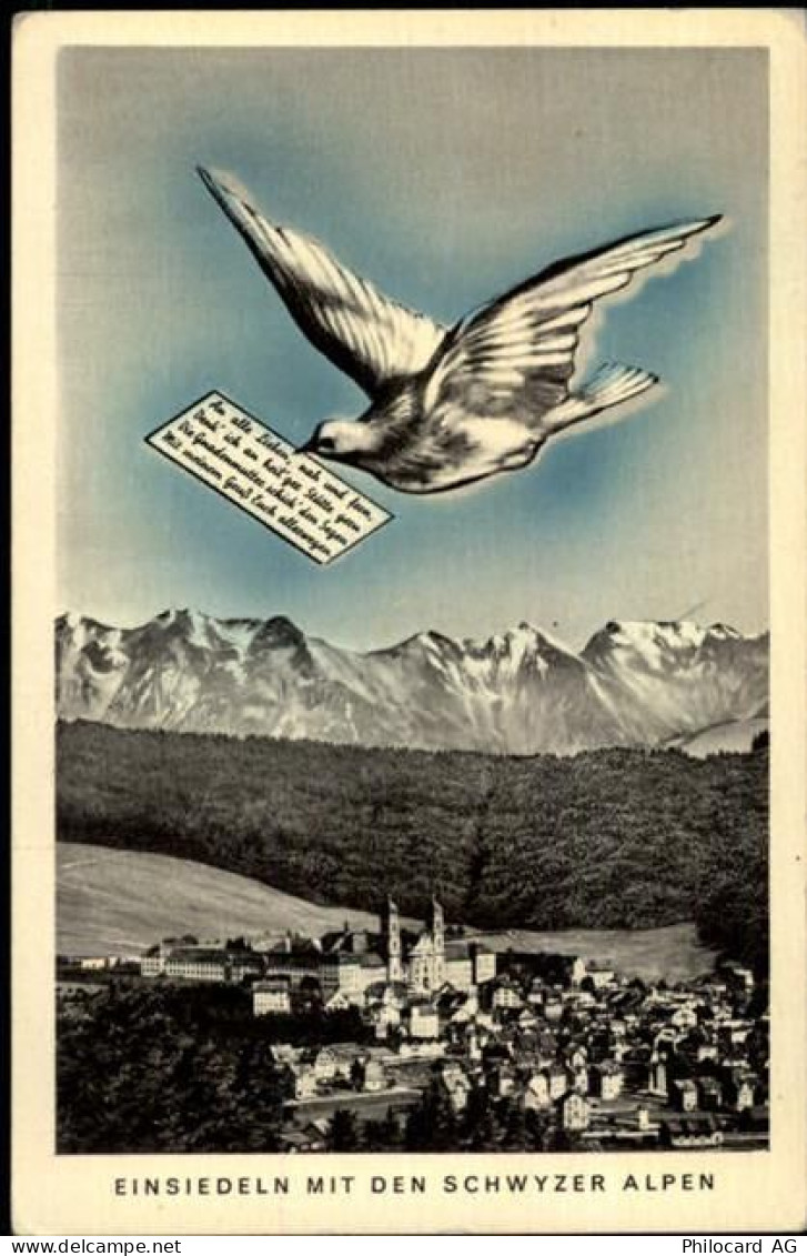 8840 Einsiedeln Horgenberg b. Einsiedeln - 50480024