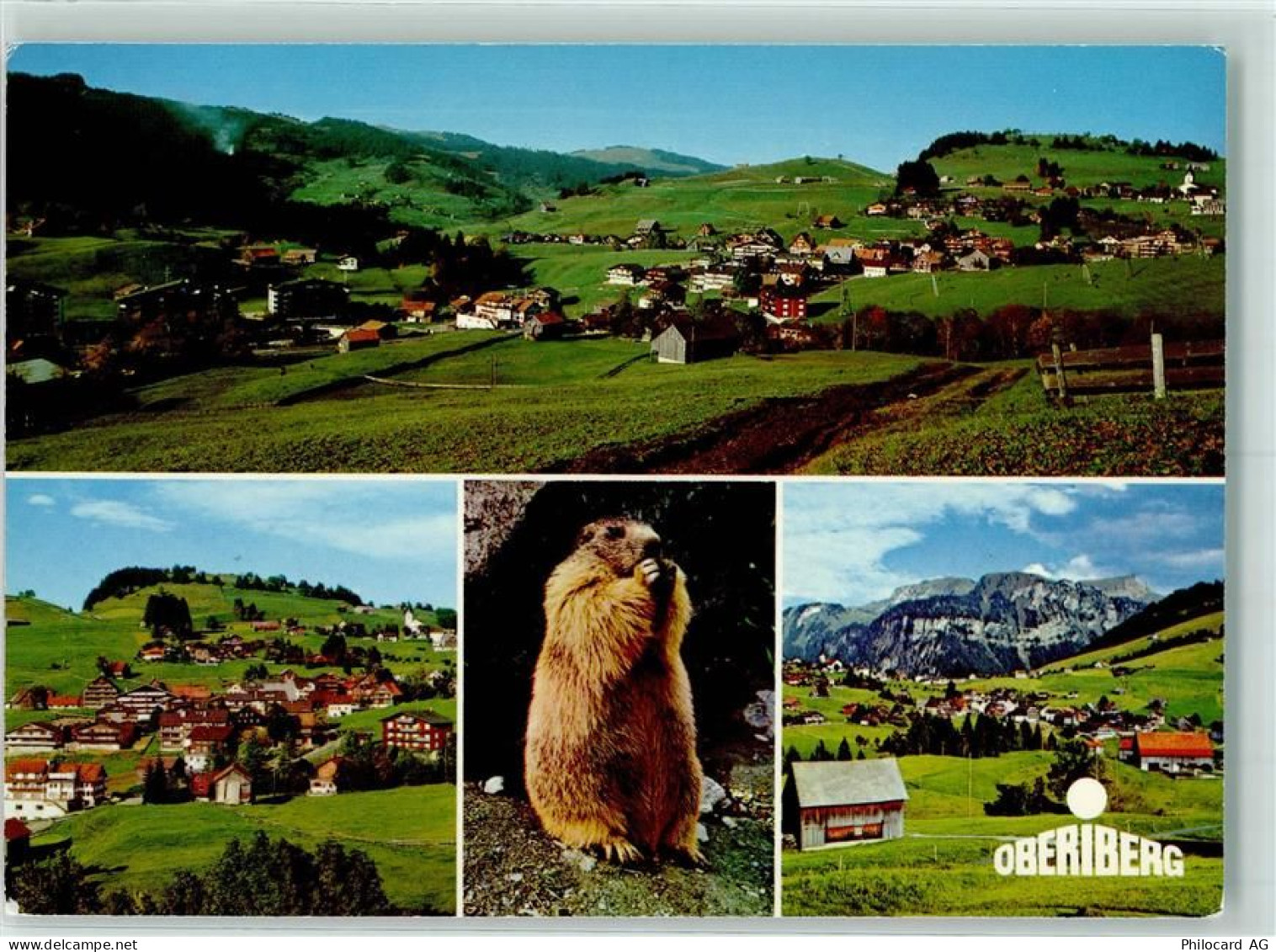 8843 Oberiberg - Murmerltier - 40161349