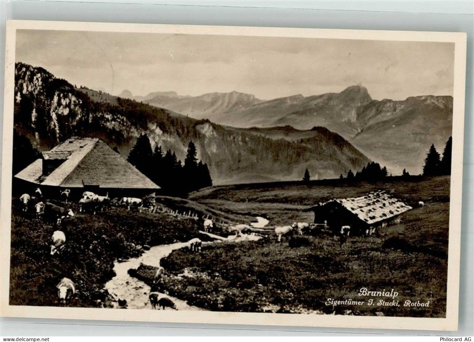 8849 Alpthal 1927 Foto AK Brunialp - 38210156