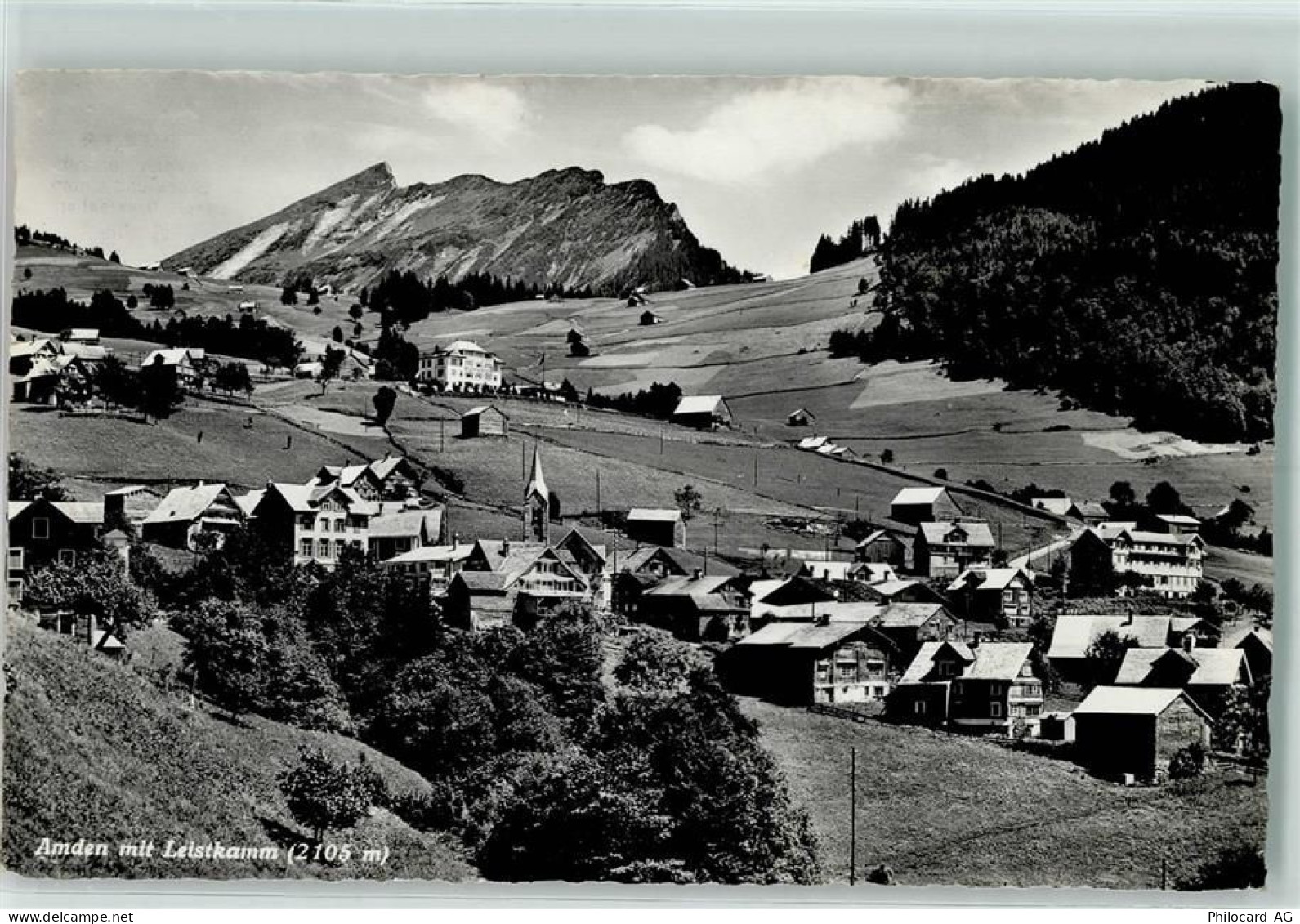 8873 Amden - 10203481