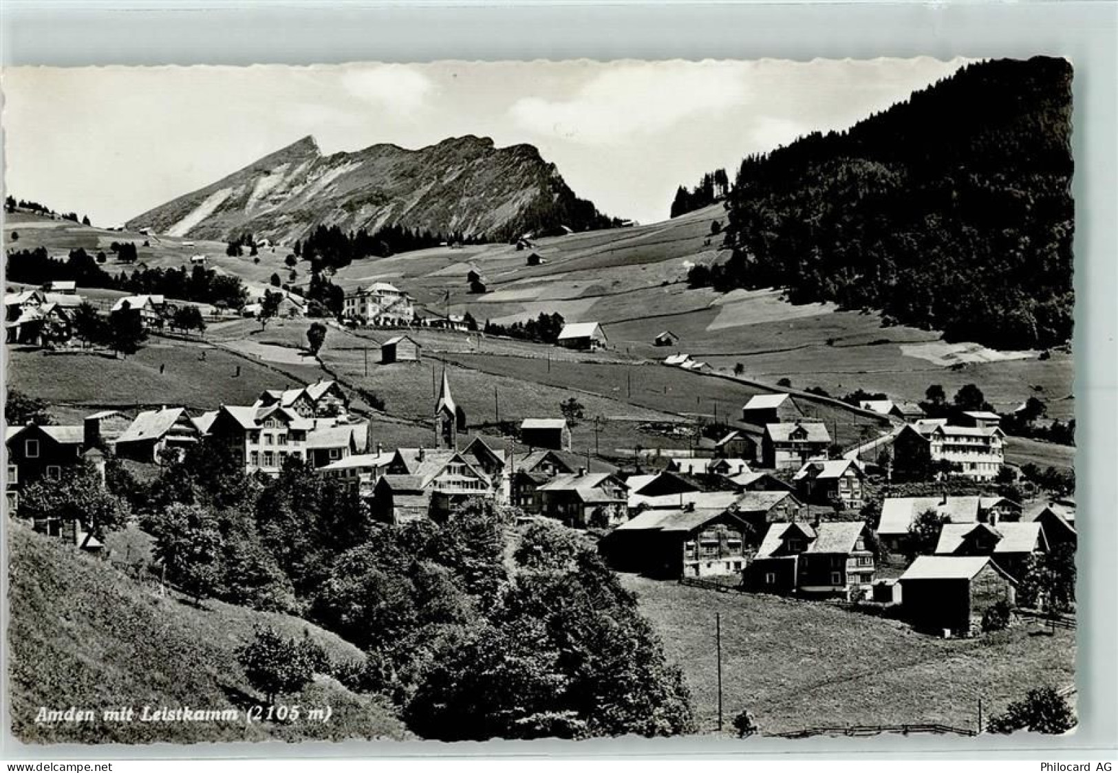 8873 Amden - 10203485