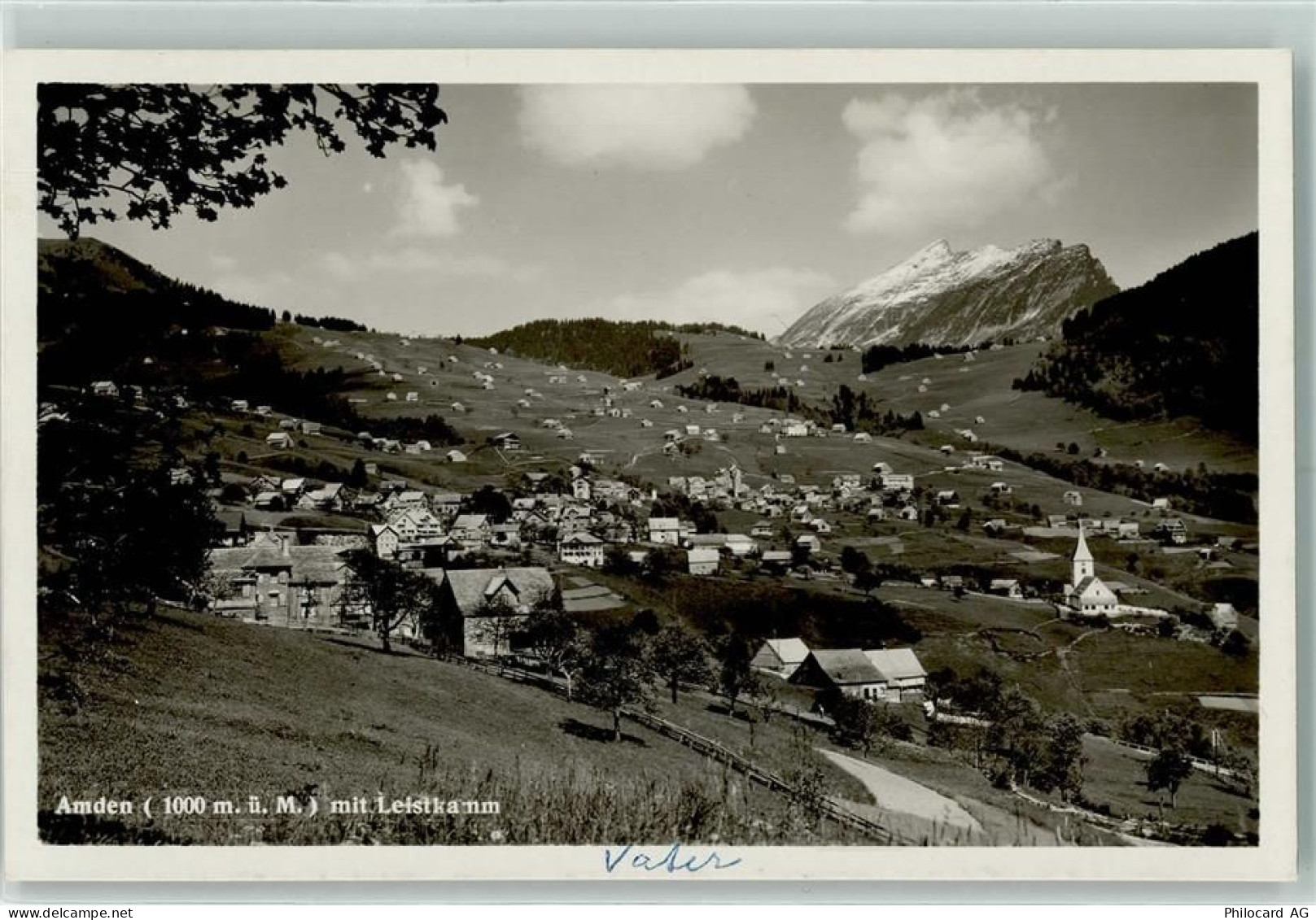 8873 Amden - 10208125