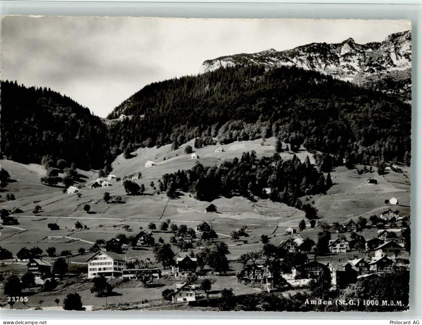 8873 Amden - 11088392