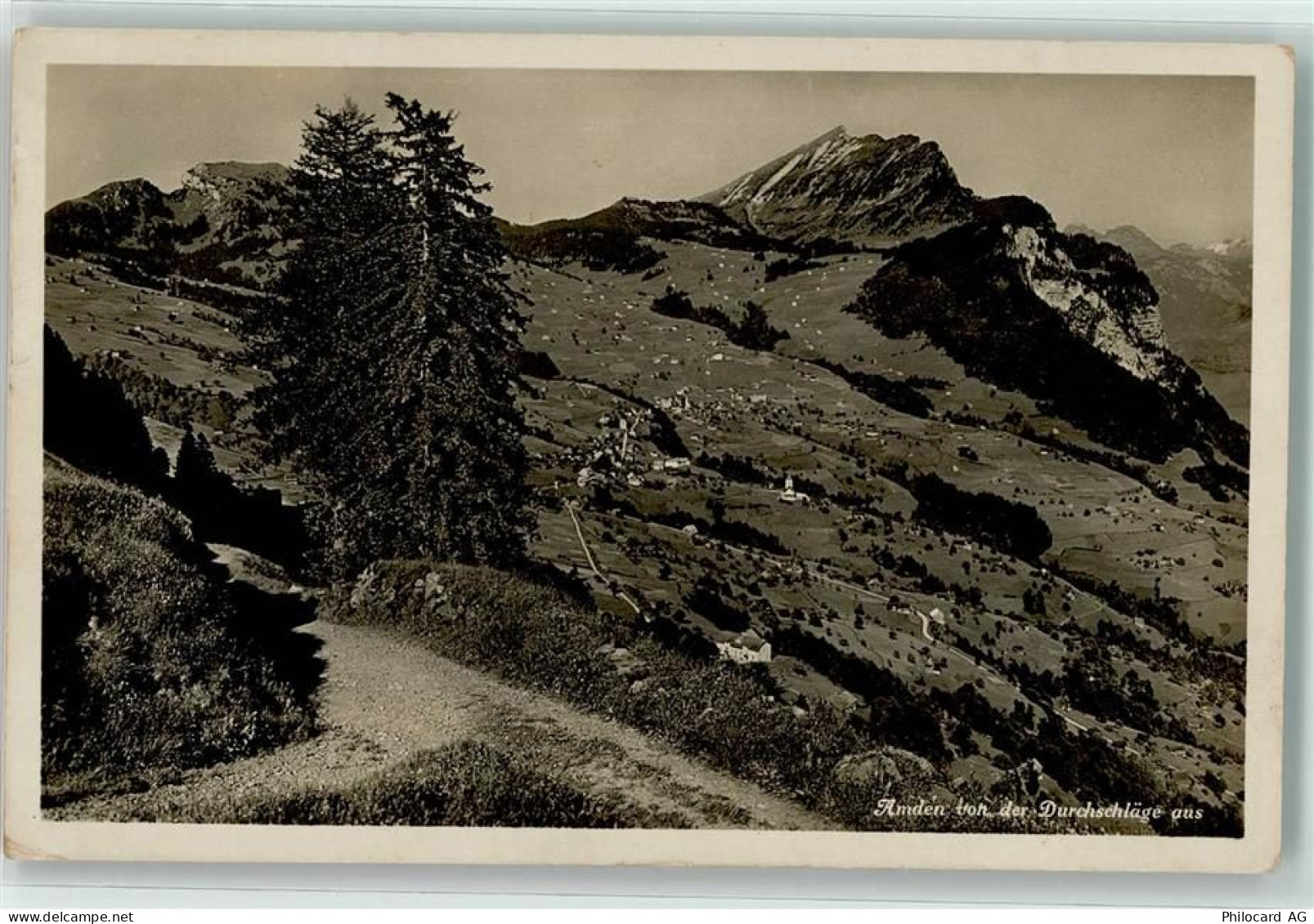 8873 Amden - 39493300