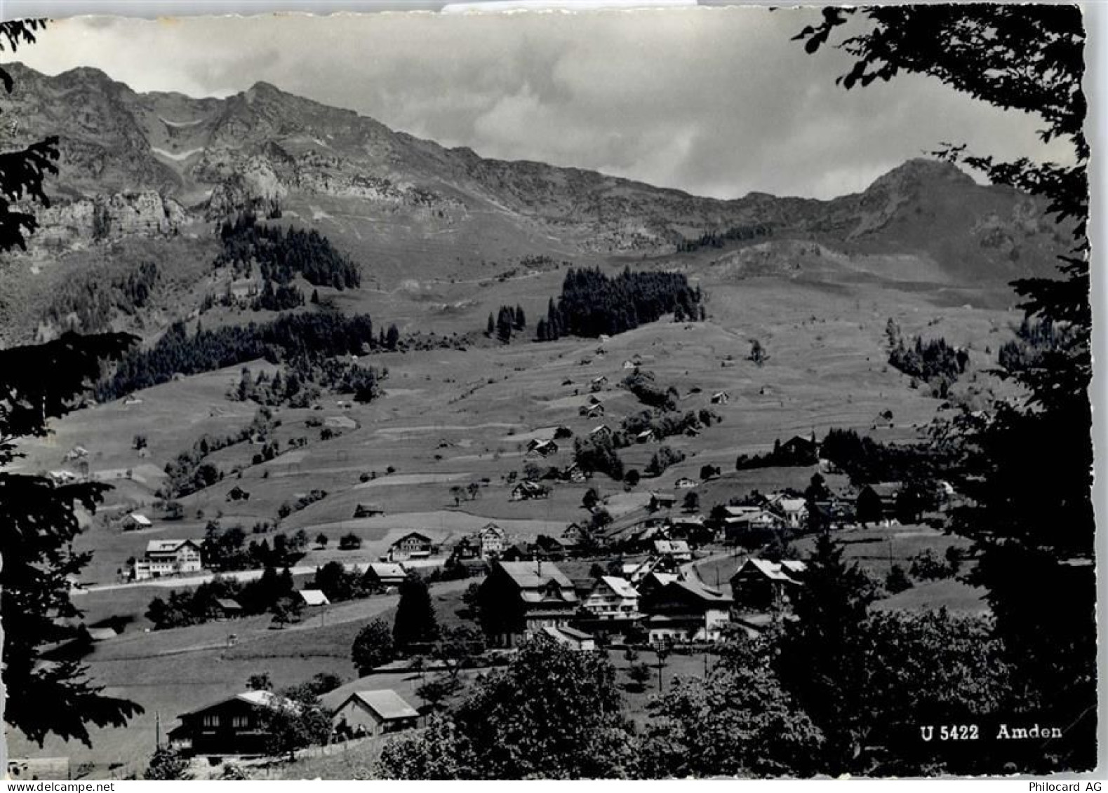 8873 Amden - 50796956