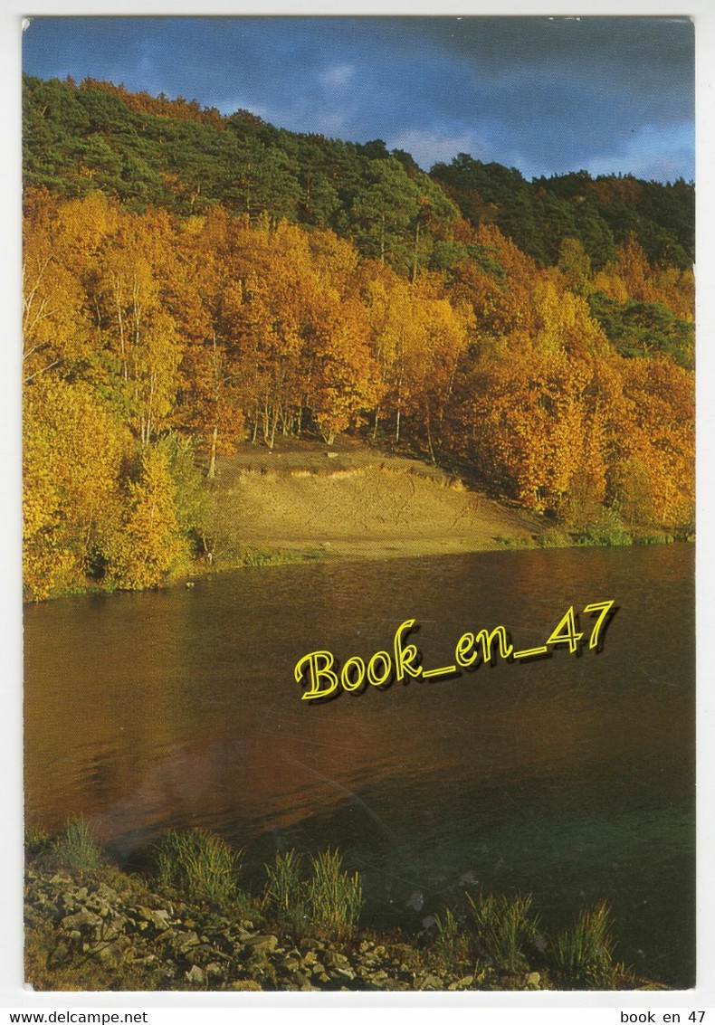 {88732} 78 Yvelines , Le bois de Maurepas ; Comité de Sauvegarde de Maurepas Village