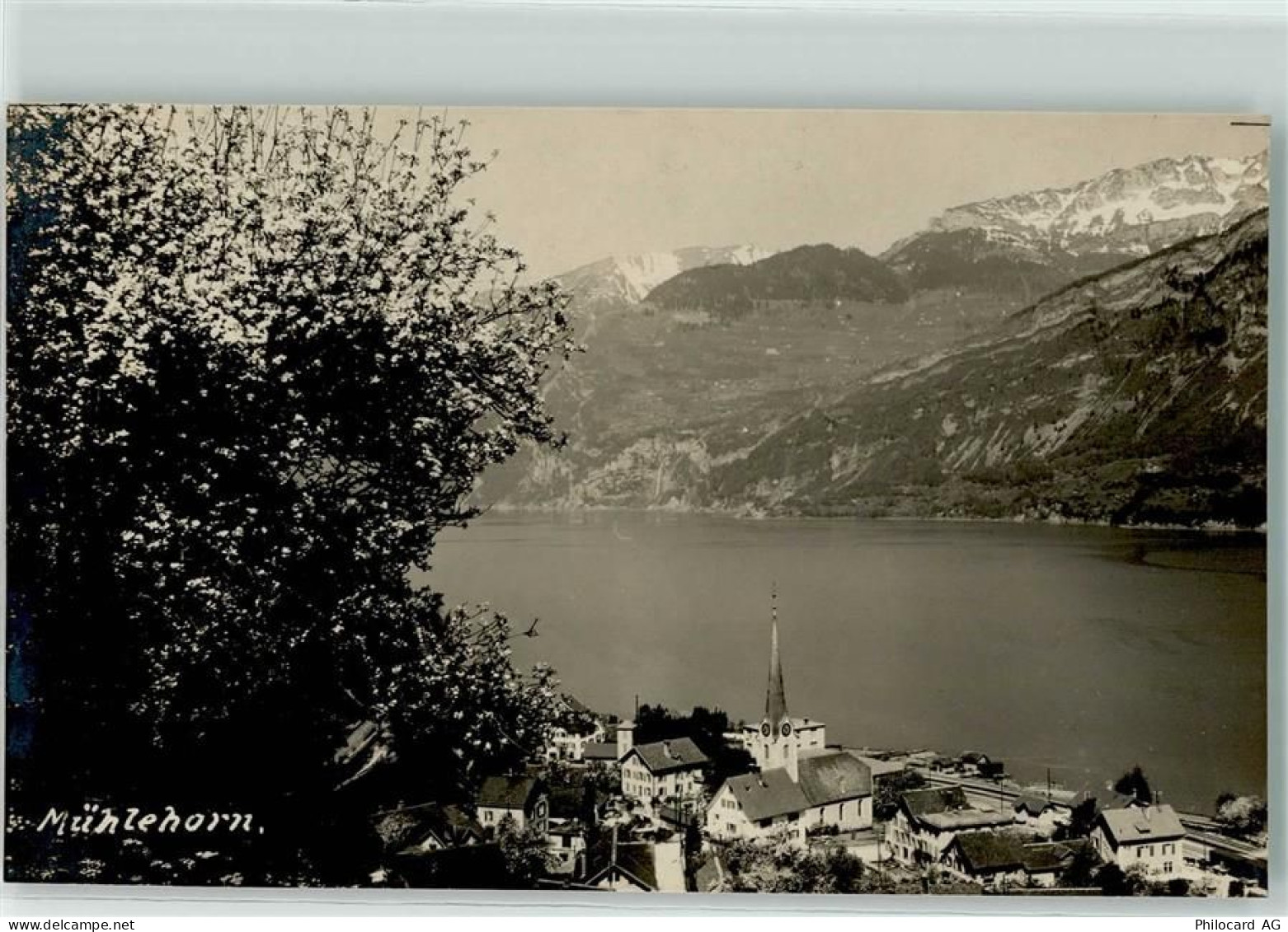 8874 Mühlehorn - 10592753