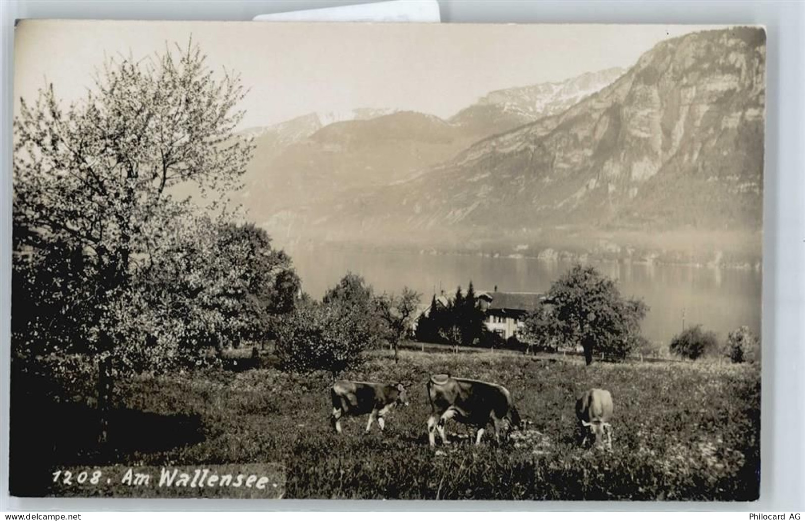 8880 Walenstadt - Kuhweide - 50738286