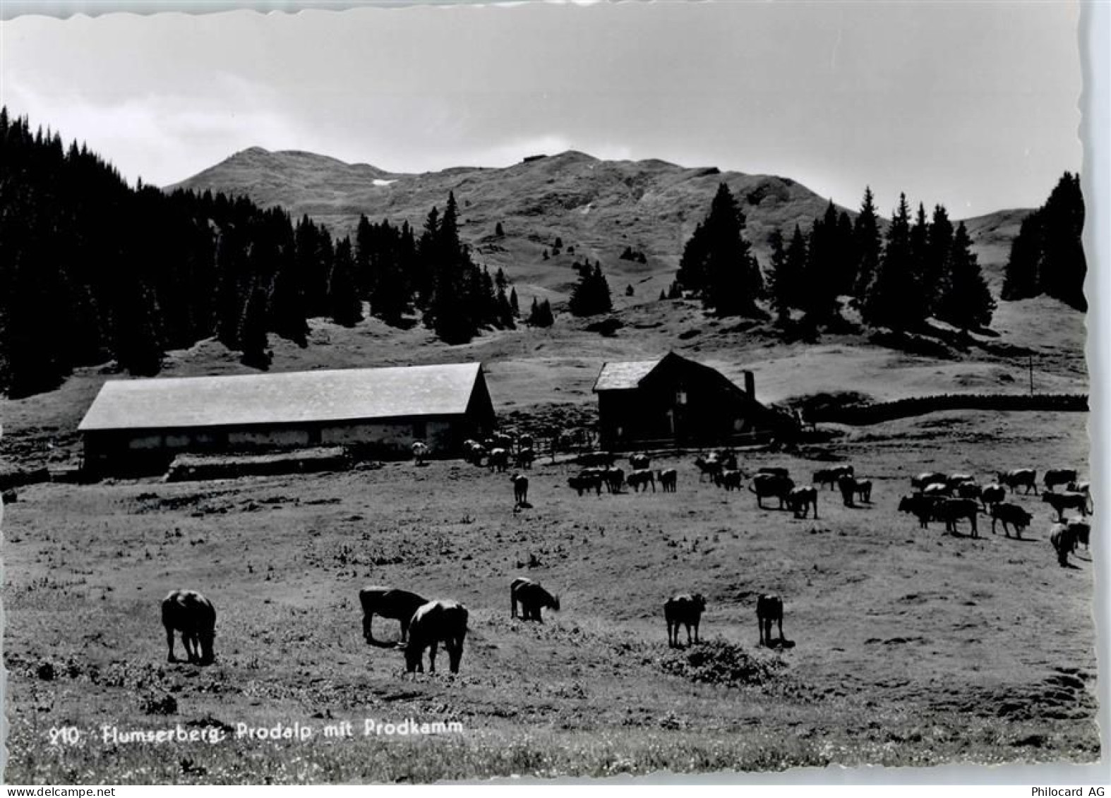 8890 Flums - Prodalp , Kuhweide - 50775249