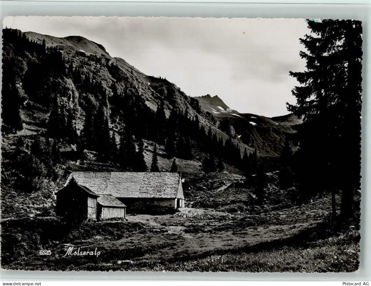 8896 Bergheim Flumserberg - Molseralp - 11057836