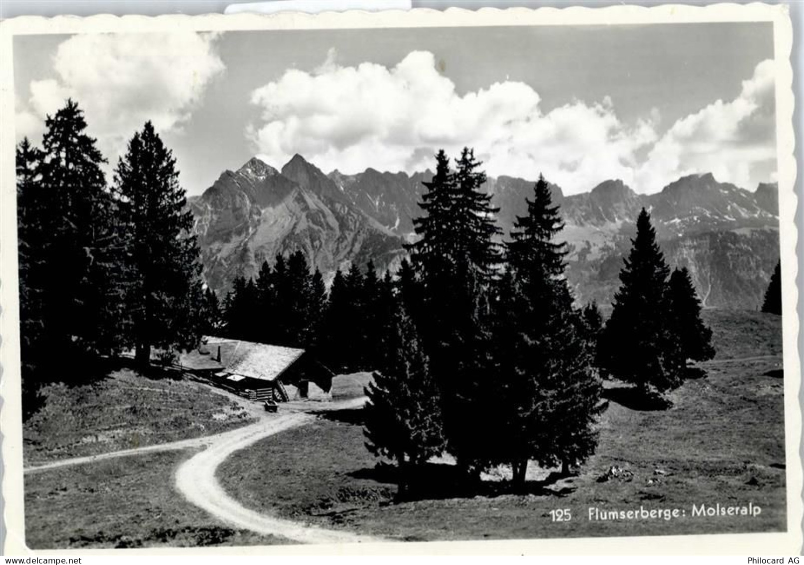 8896 Bergheim Flumserberg - Molseralp - 51950712
