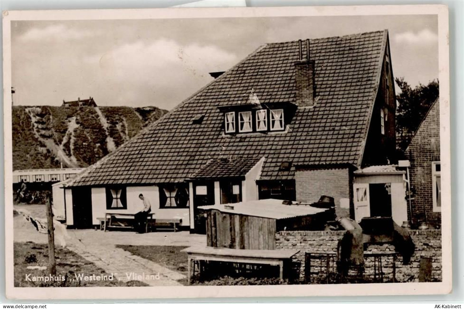 8899 Vlieland - Pension Westeind - 52050569