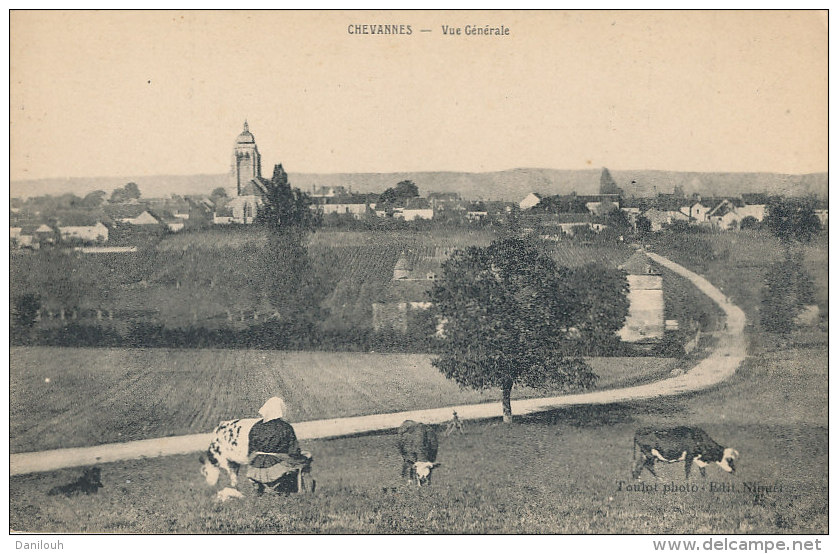 89 // CHEVANNES   vue générale