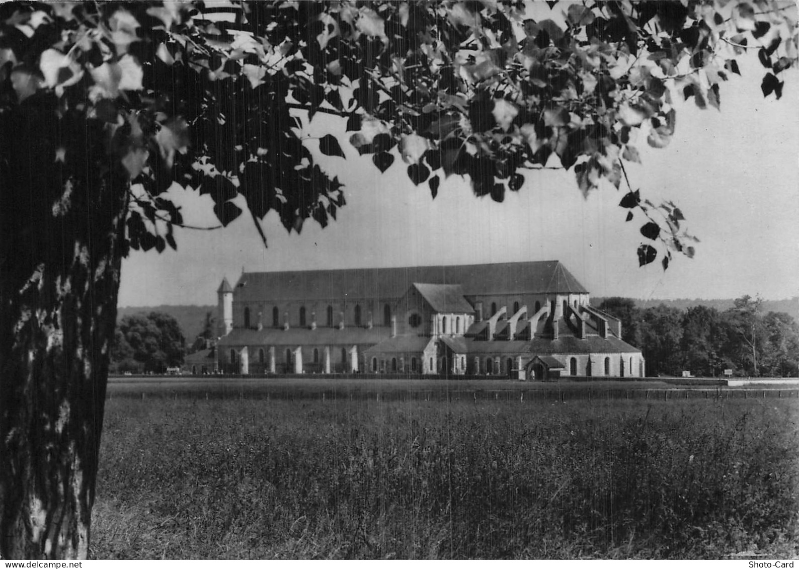 89 PONTIGNY ABBAYE DE PONTIGNY