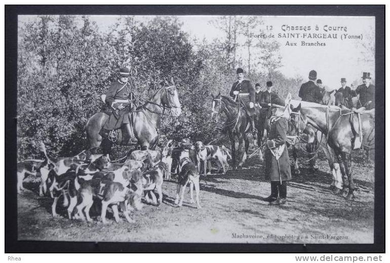 89 Saint-Fargeau chasse a courre    D89D  K89344K  C89344C RH037213
