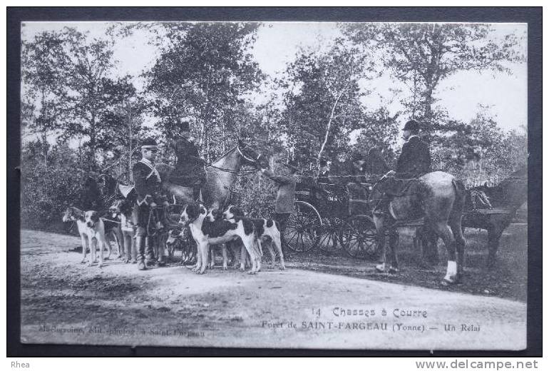 89 Saint-Fargeau chasse a courre    D89D  K89344K  C89344C RH037655