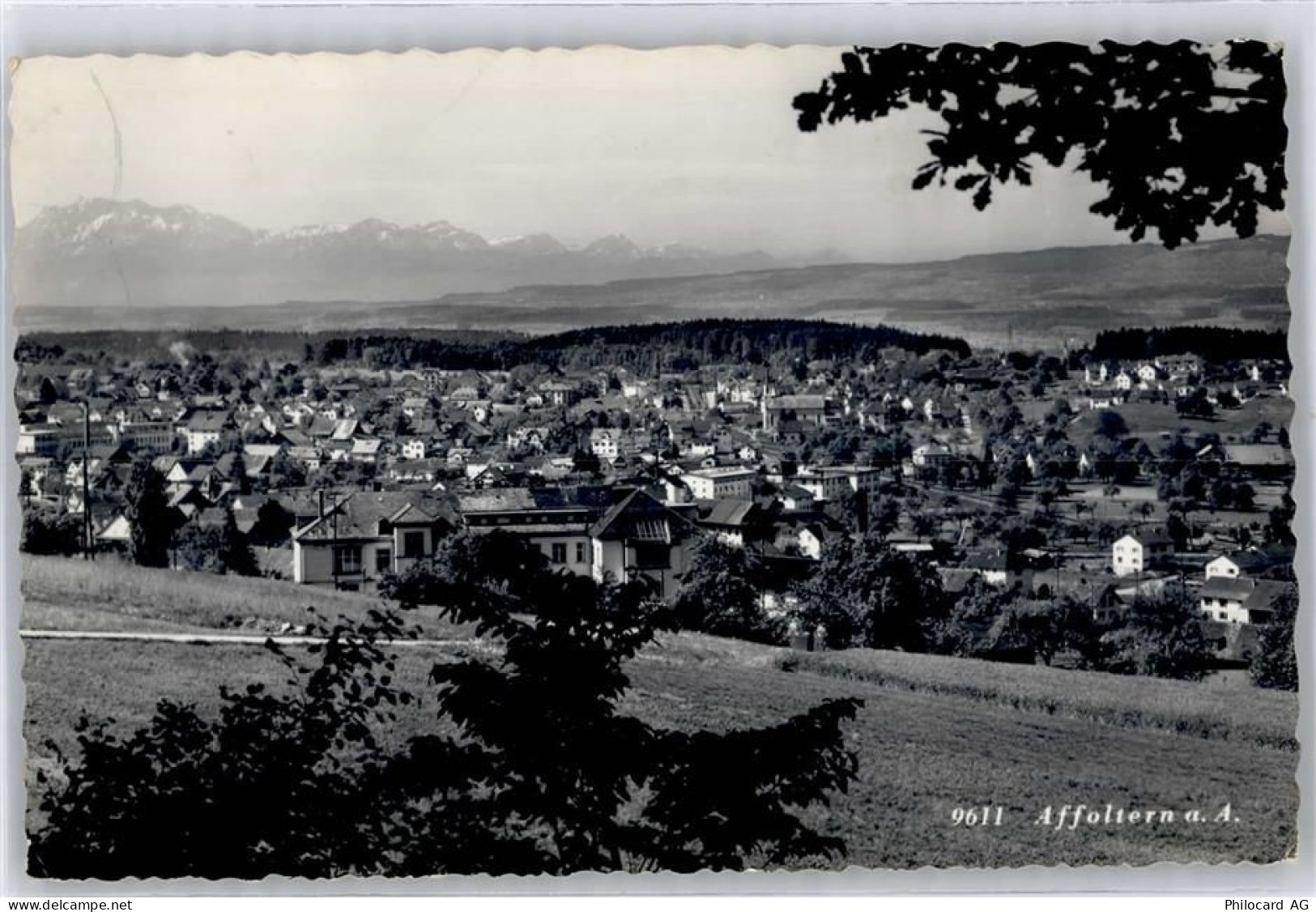8910 Affoltern am Albis - Gesamtansicht - 50960417