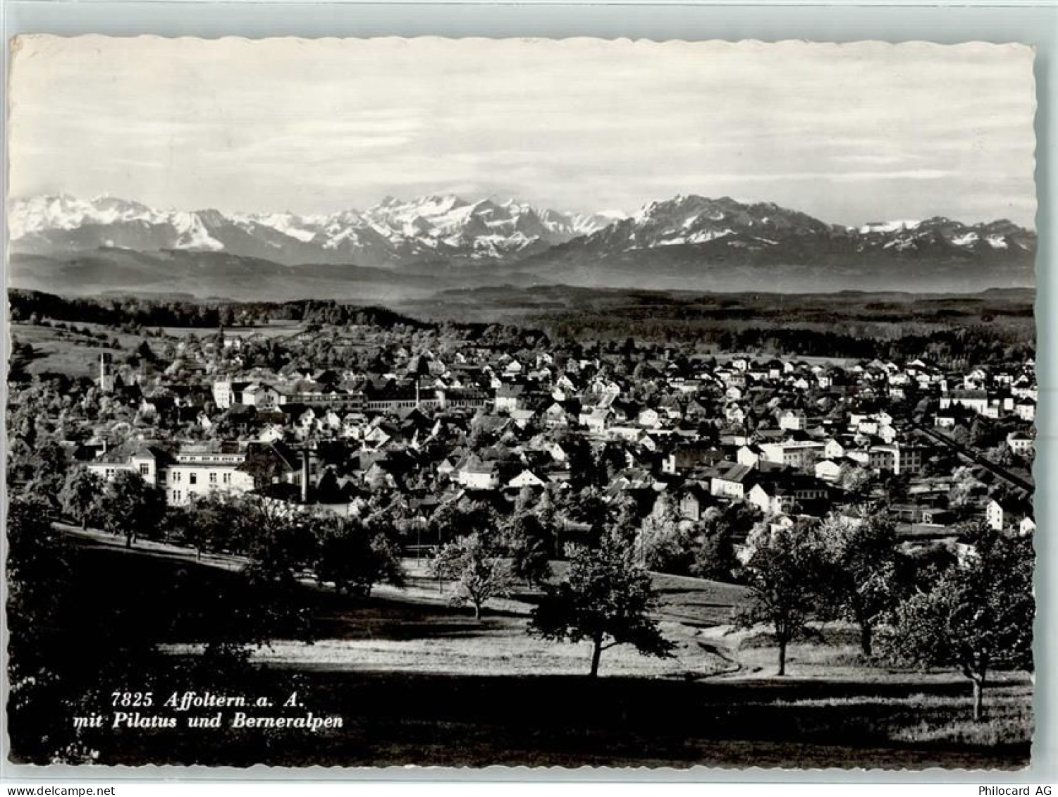 8910 Affoltern am Albis - Pilatus Berneralpen - 10394247