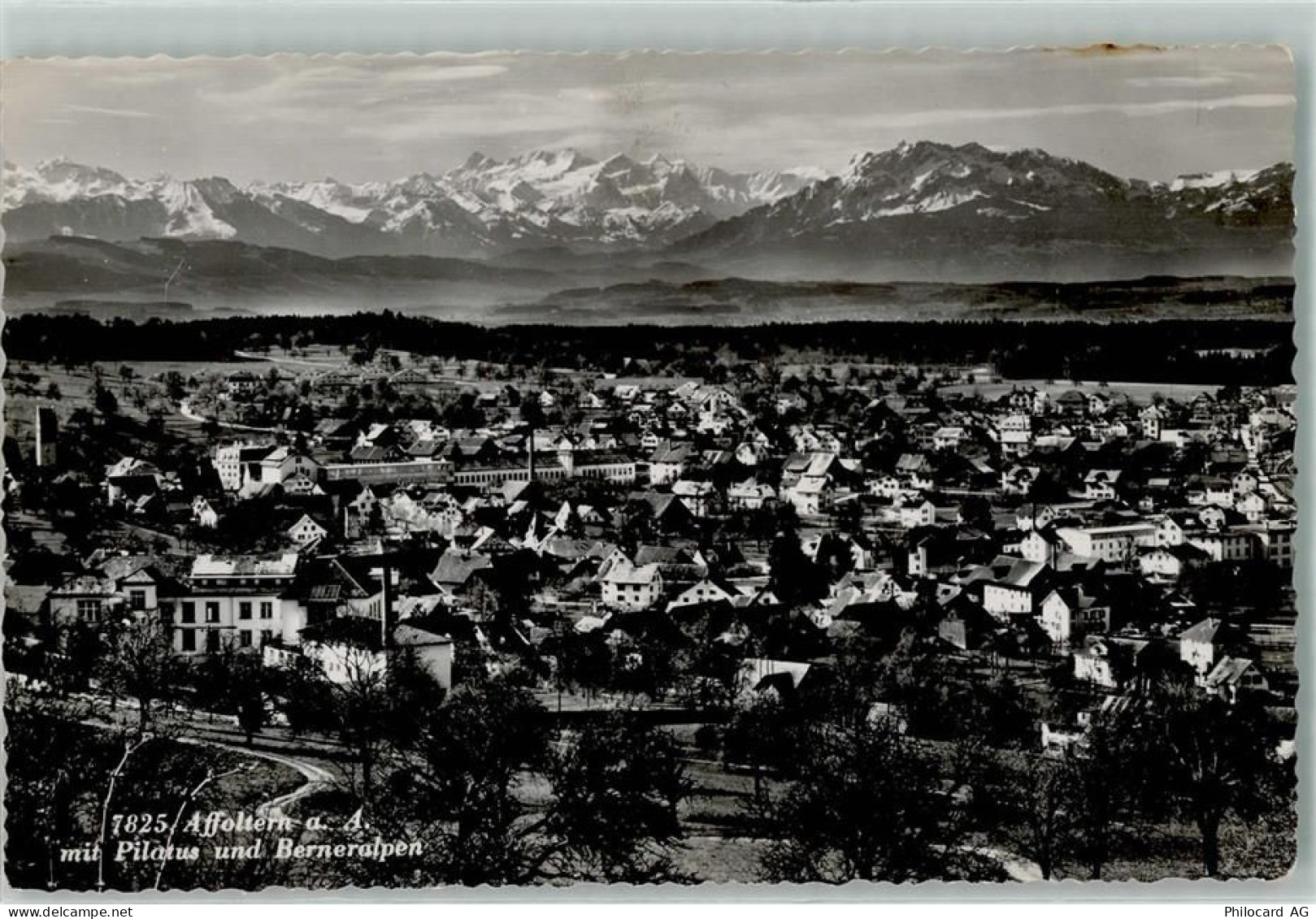 8910 Affoltern am Albis - Pilatus Berneralpen - 10499085