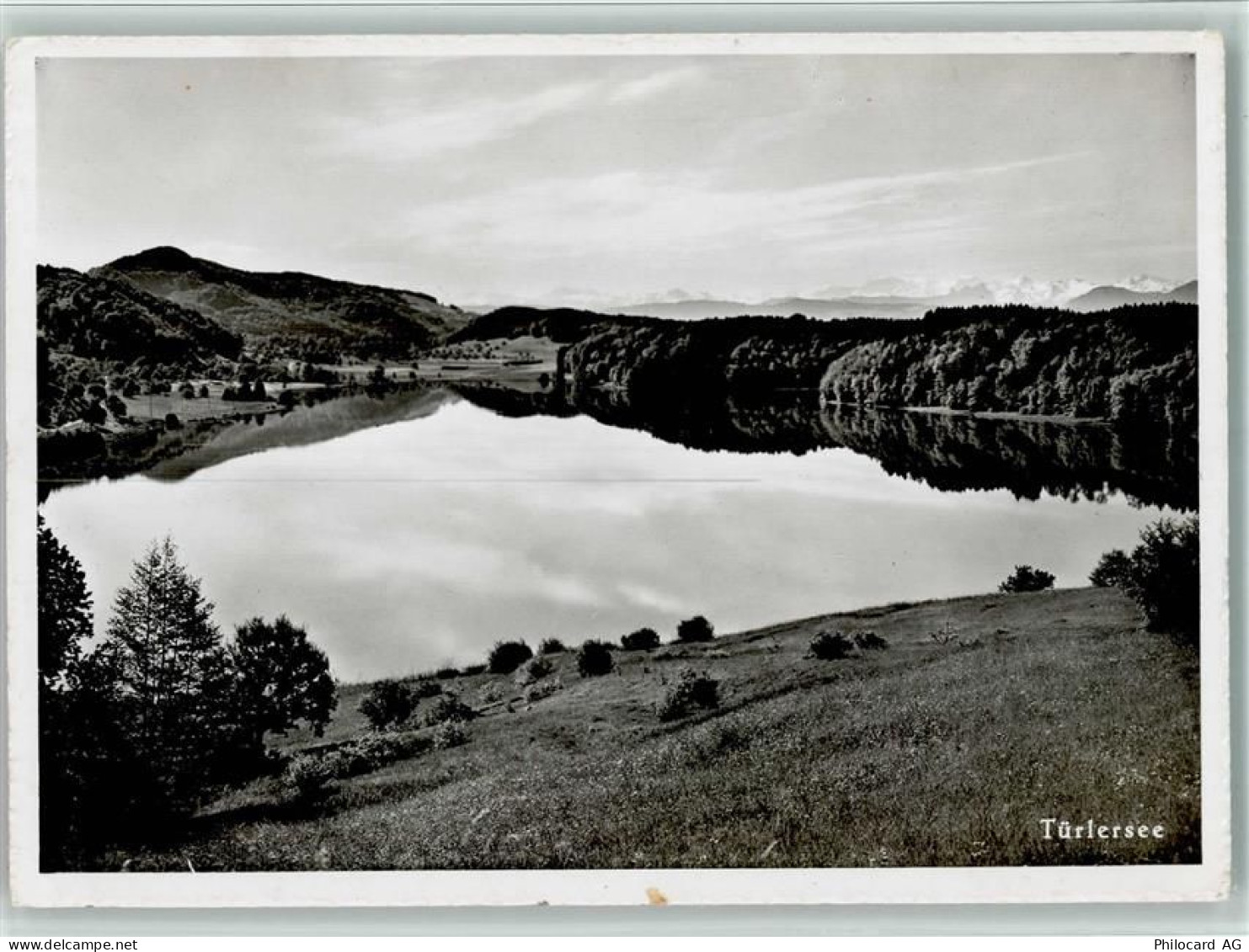 8915 Hausen am Albis - Naturstrandbad Türlersee - 11087518