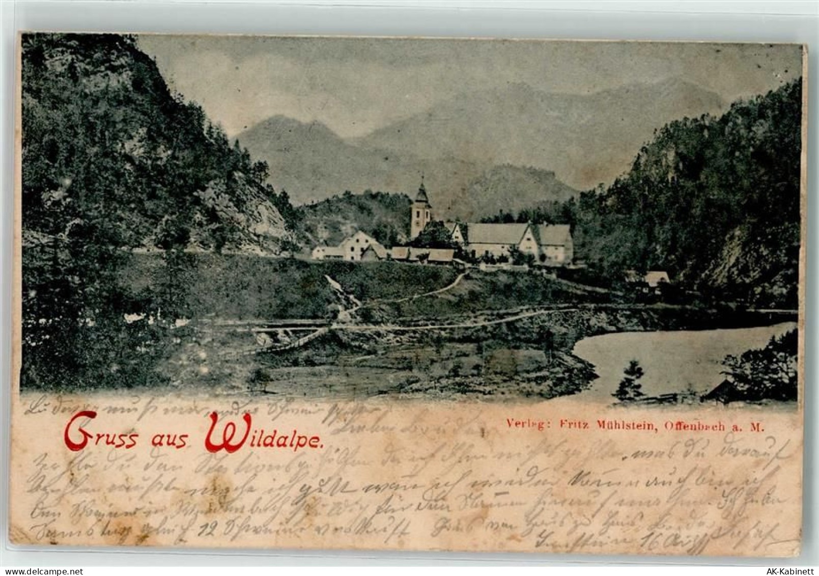 8924 Wildalpen 1903 - 39253545