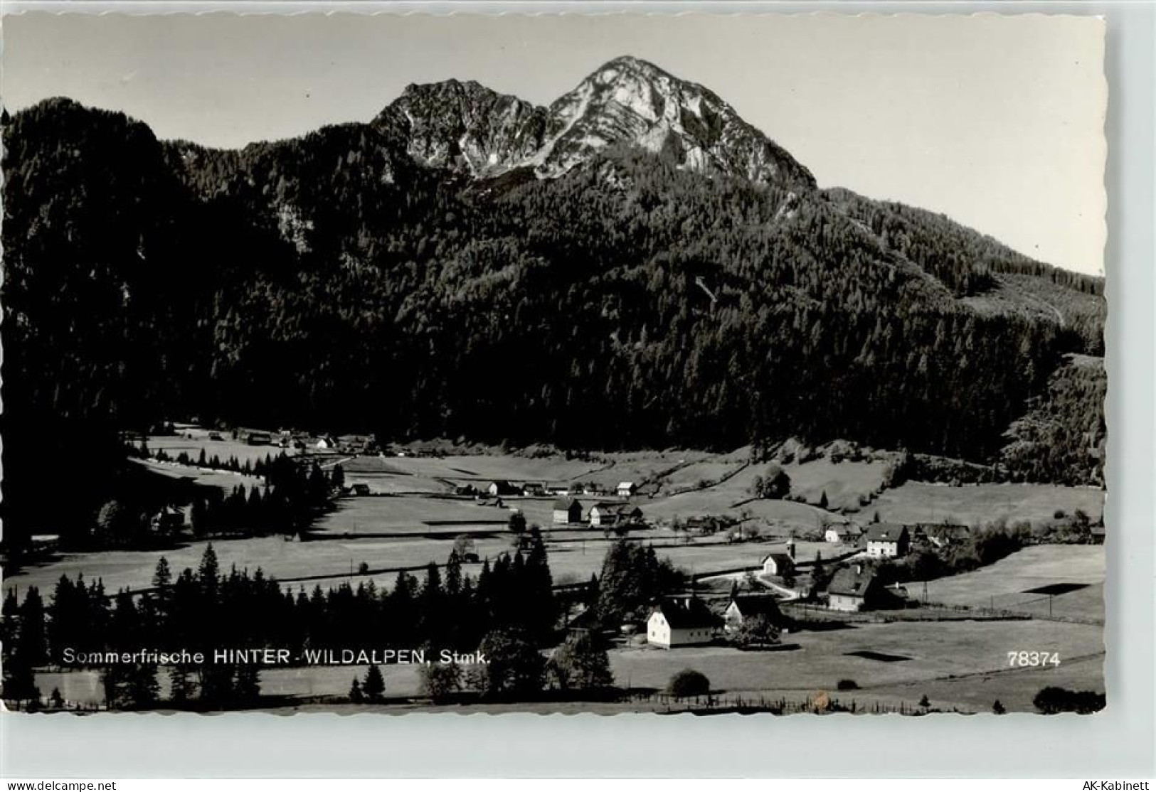 8924 Wildalpen - 52130380