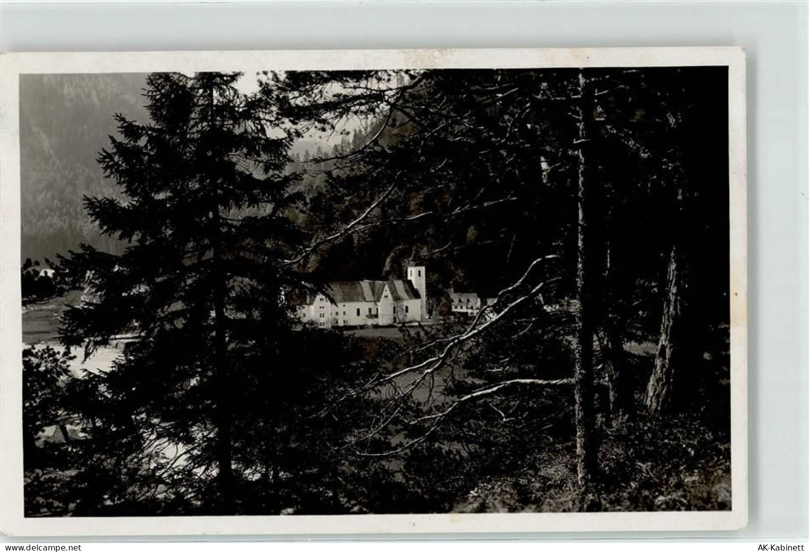 8924 Wildalpen - 52136712