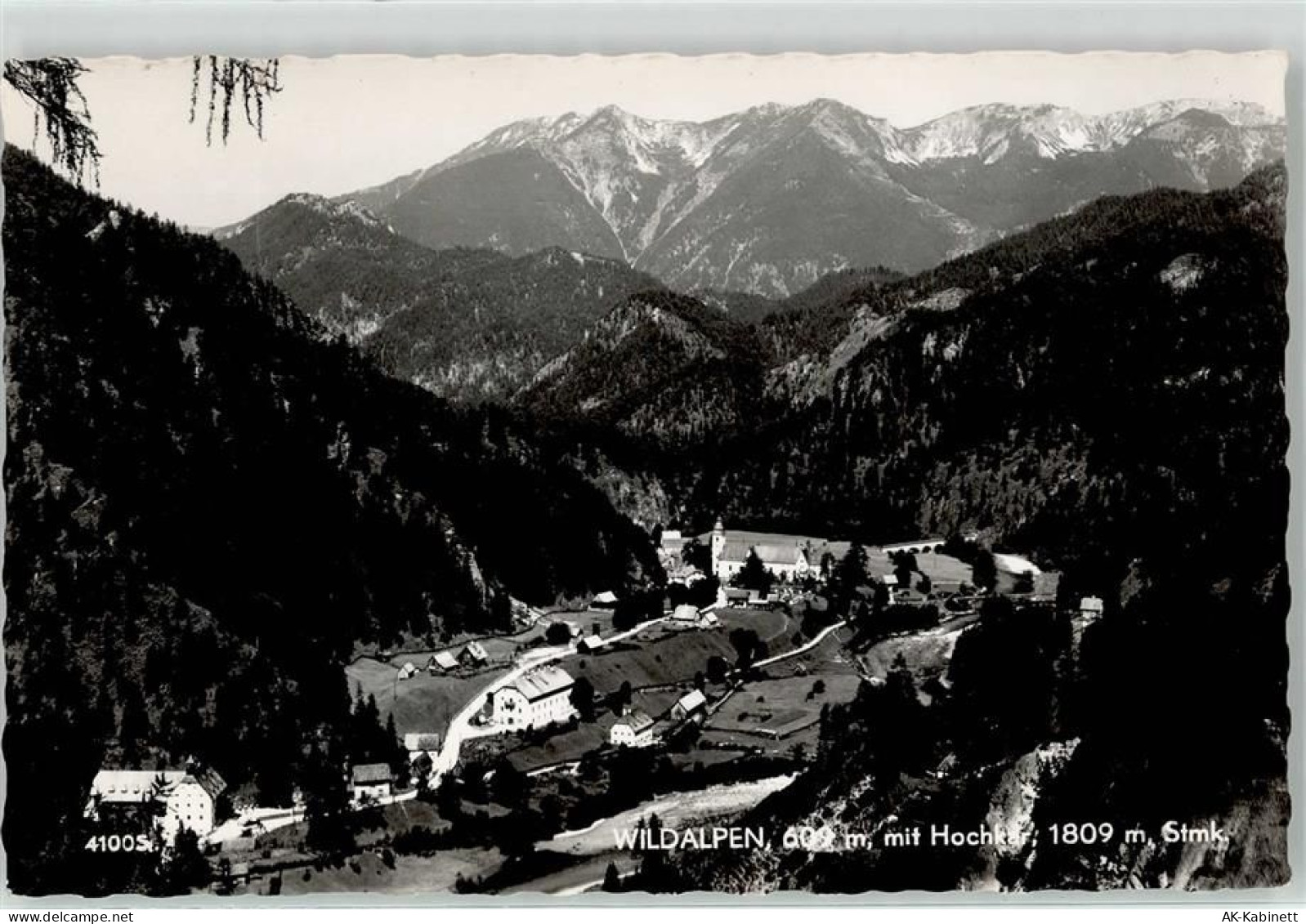 8924 Wildalpen - 52136727