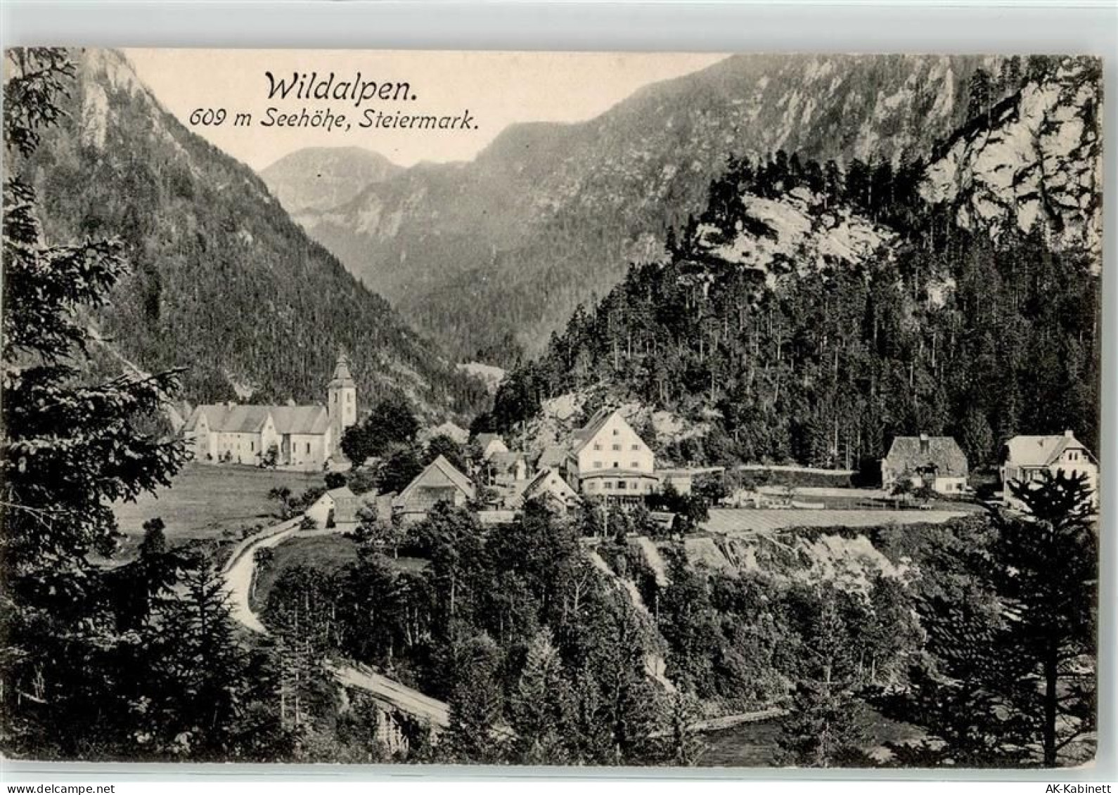 8924 Wildalpen - 52136748